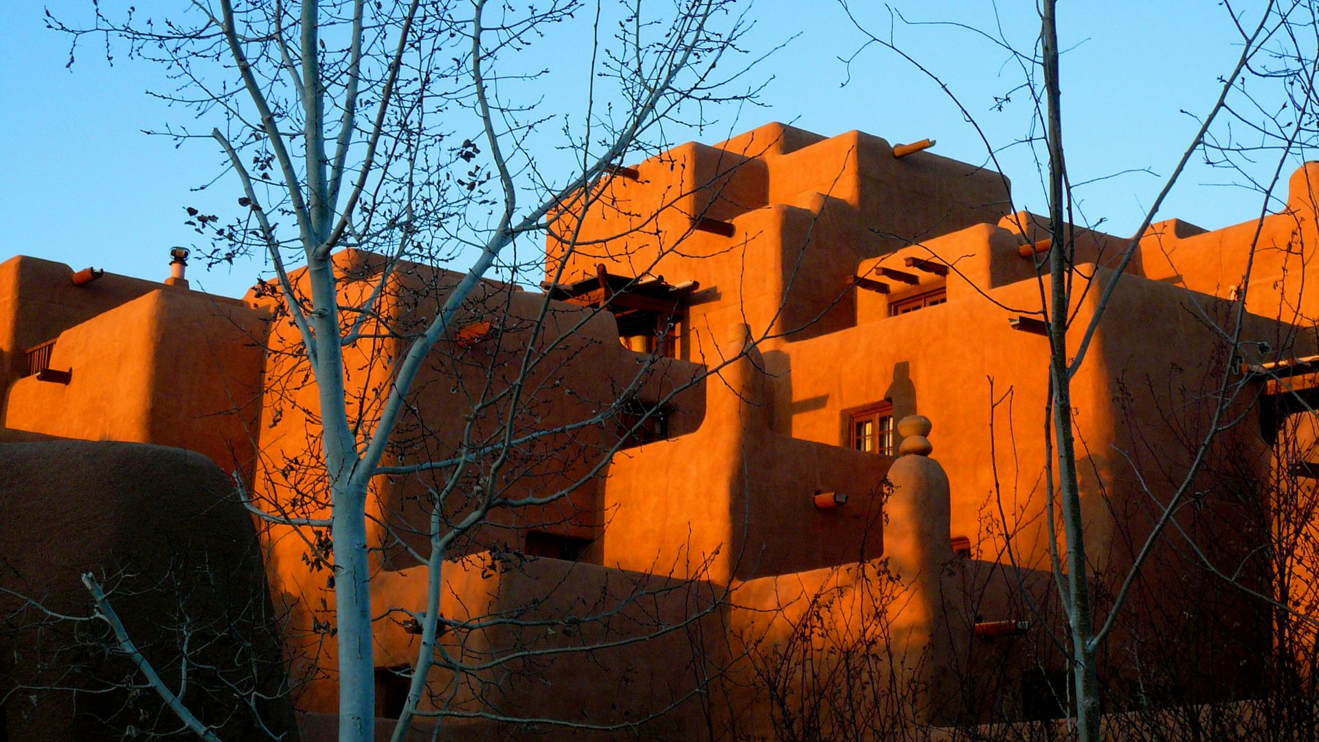 An elephant standing in front of a building