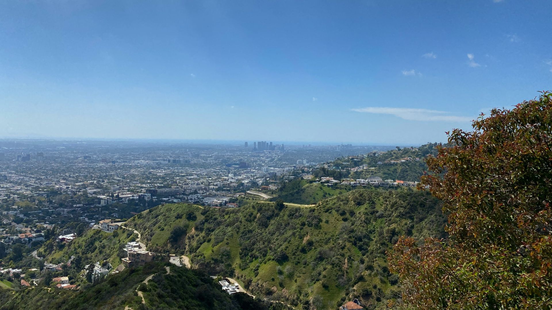 A scenic view of a city from a hill
