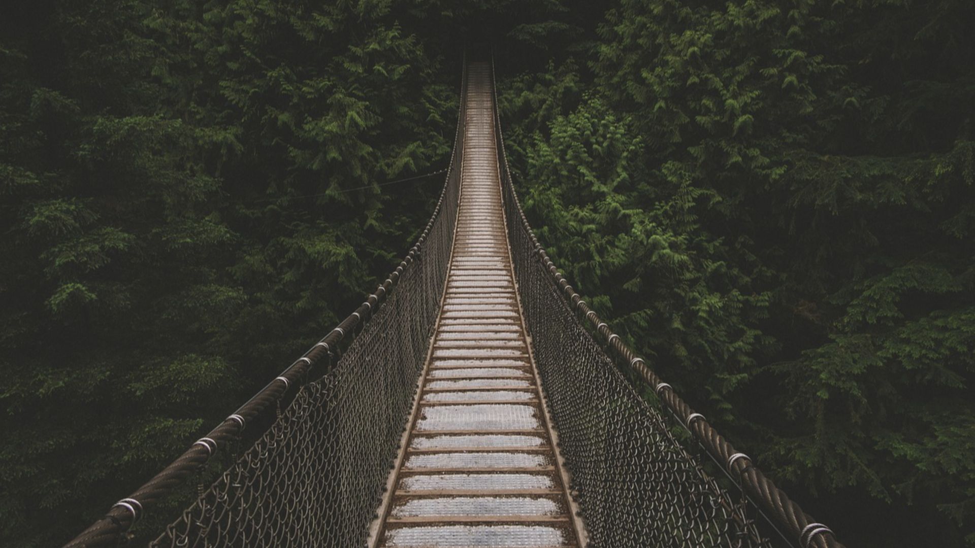 StockSnap