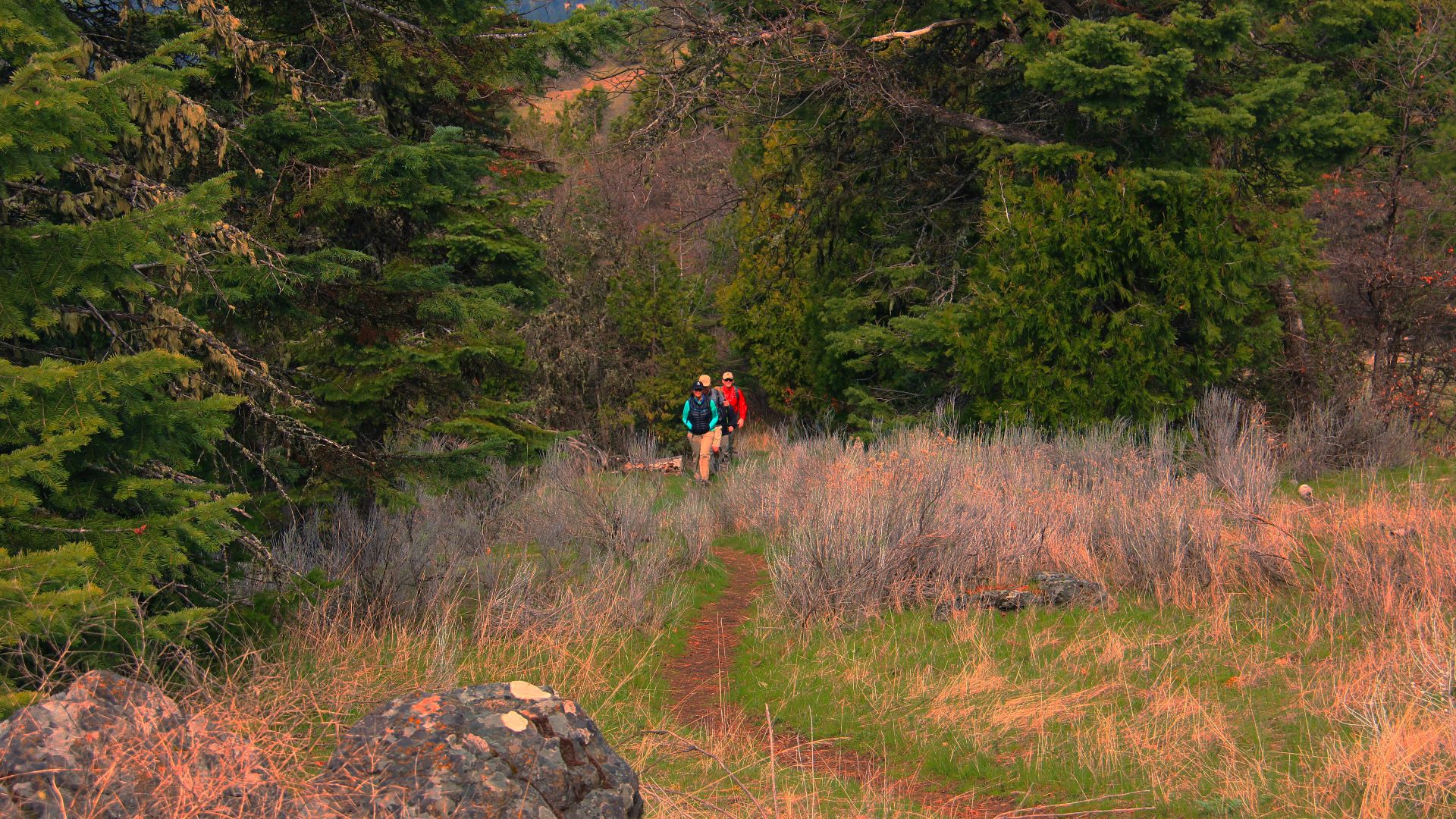 File:BLM and the Pacific Crest Trail Oregon (16792551038).jpg