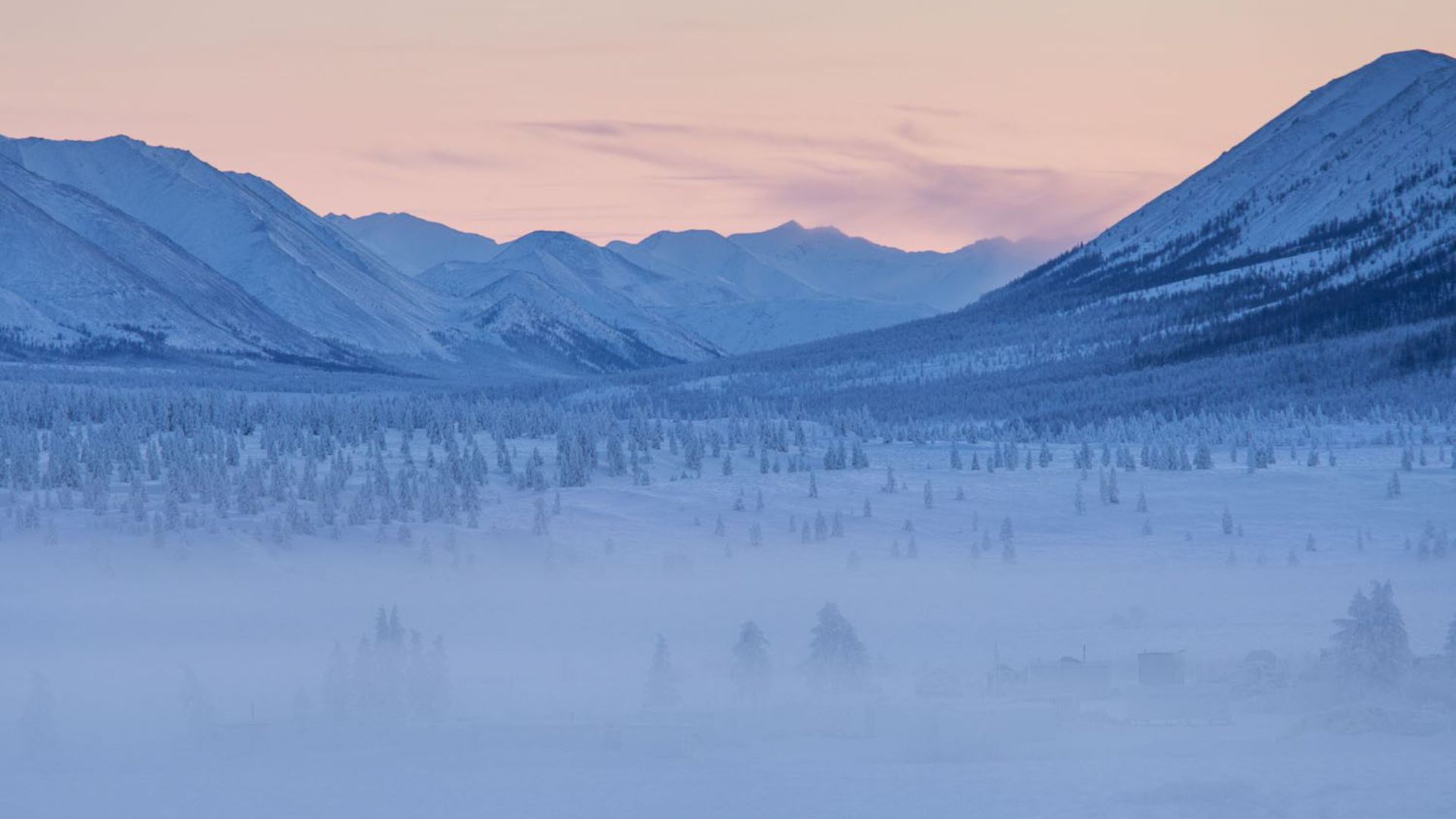 File:Oymyakon forests.jpg