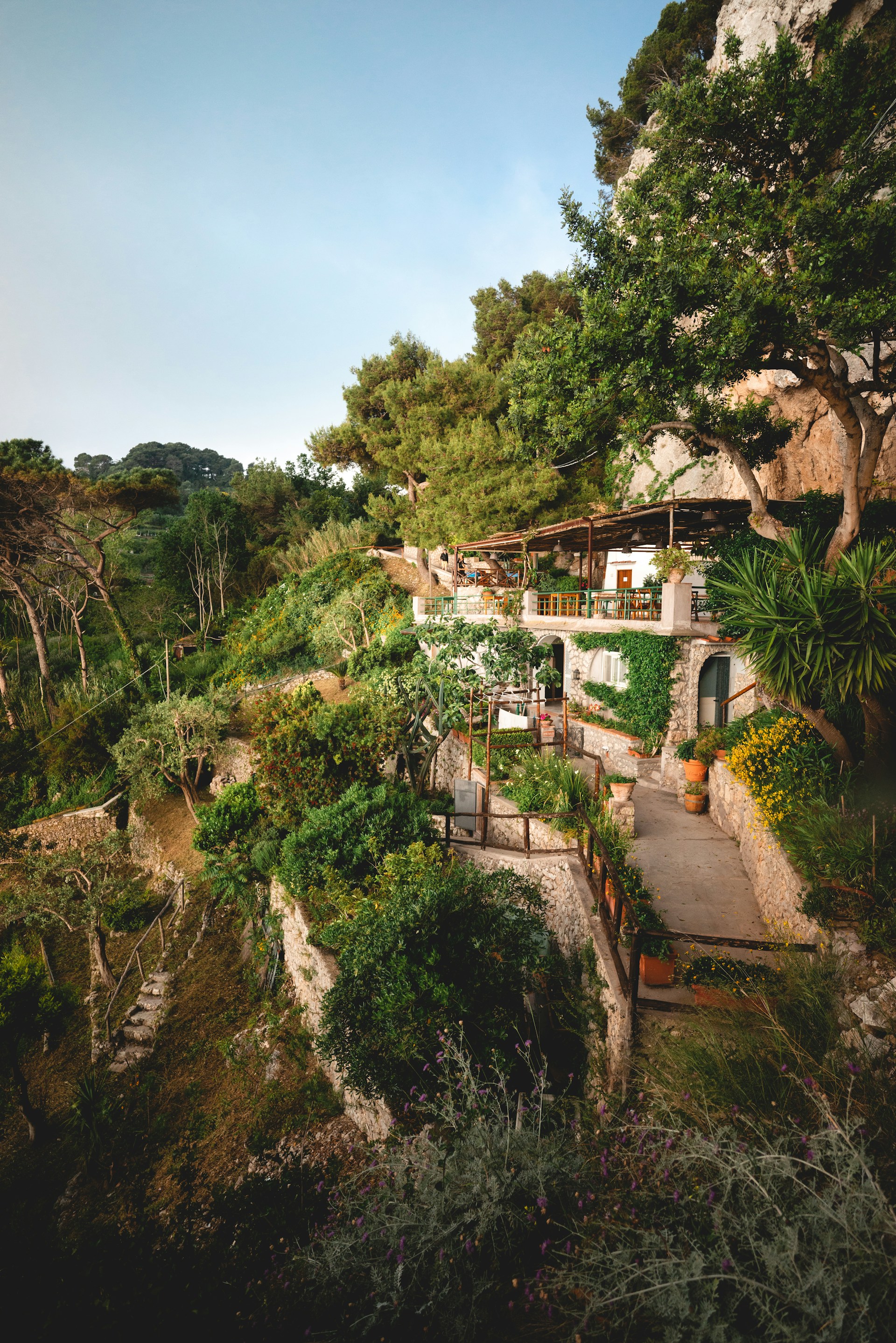 Will-Truettner-Zsgs1Ebhrhc-Unsplash