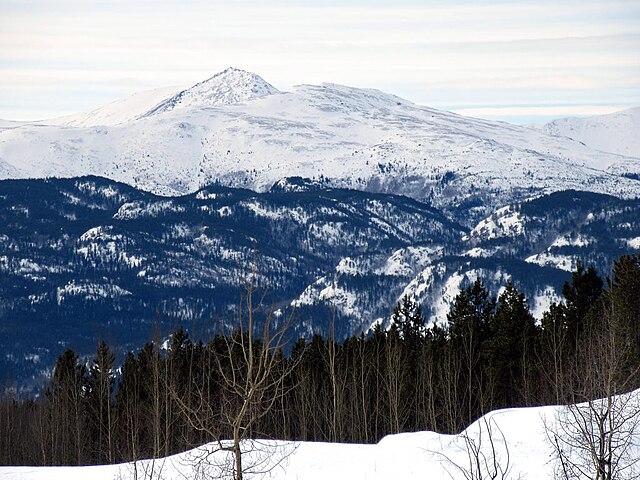 Yukon Wildlife Preserve (51948234763)