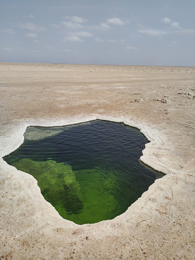 640Px-Salt Lake Danakil