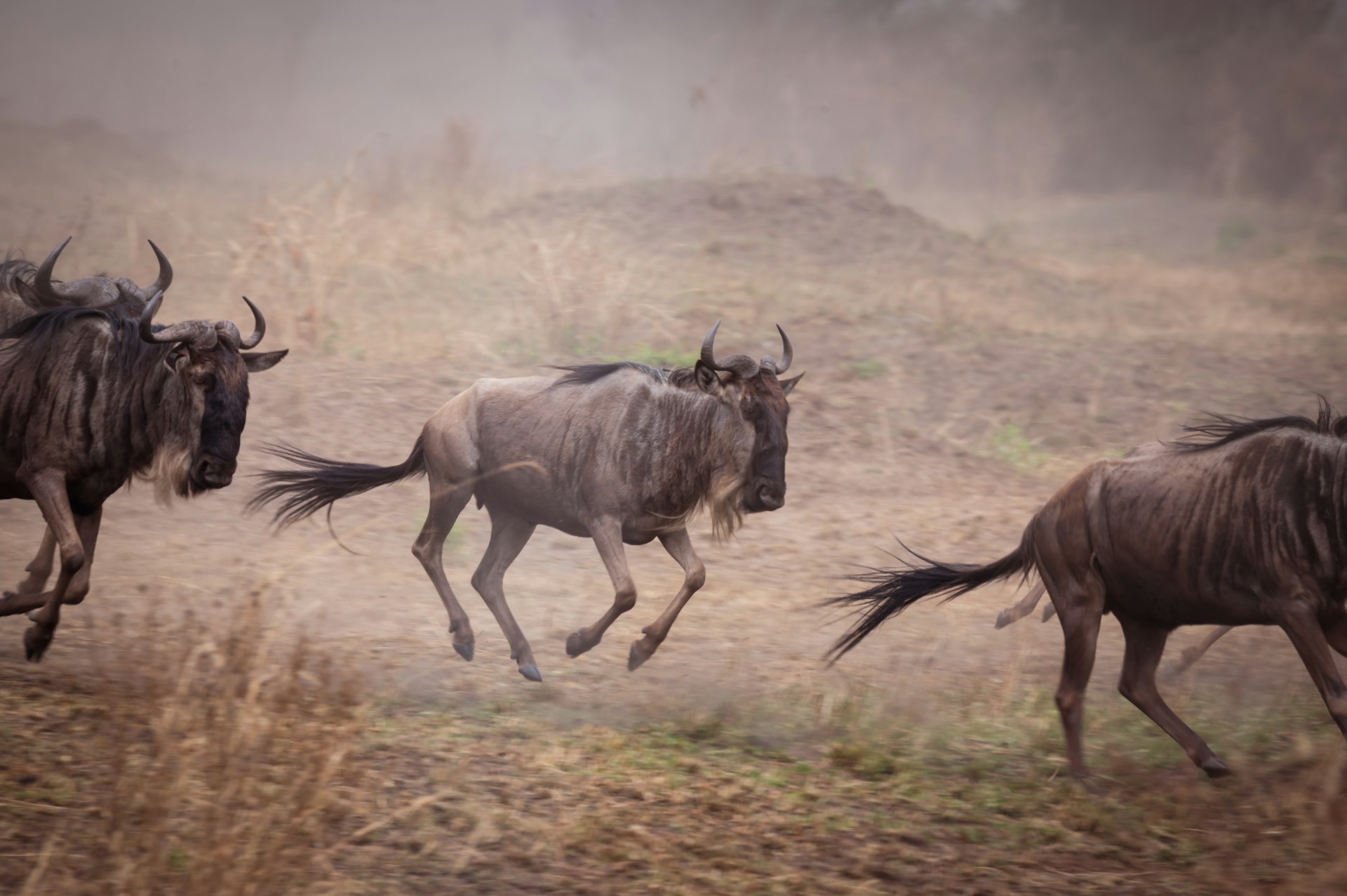 Helena-Pfisterer-U9Enzdu-Q20-Unsplash