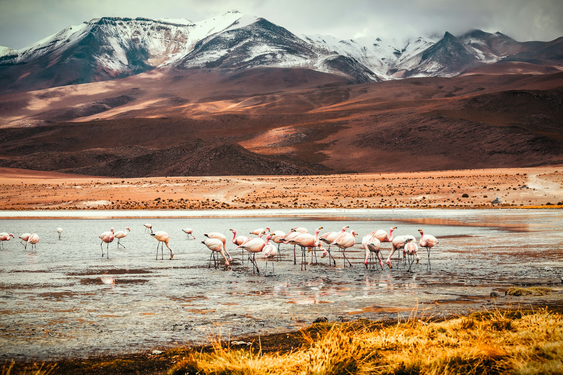 Tobias-Jelskov-8Rn1Nveq4Bc-Unsplash