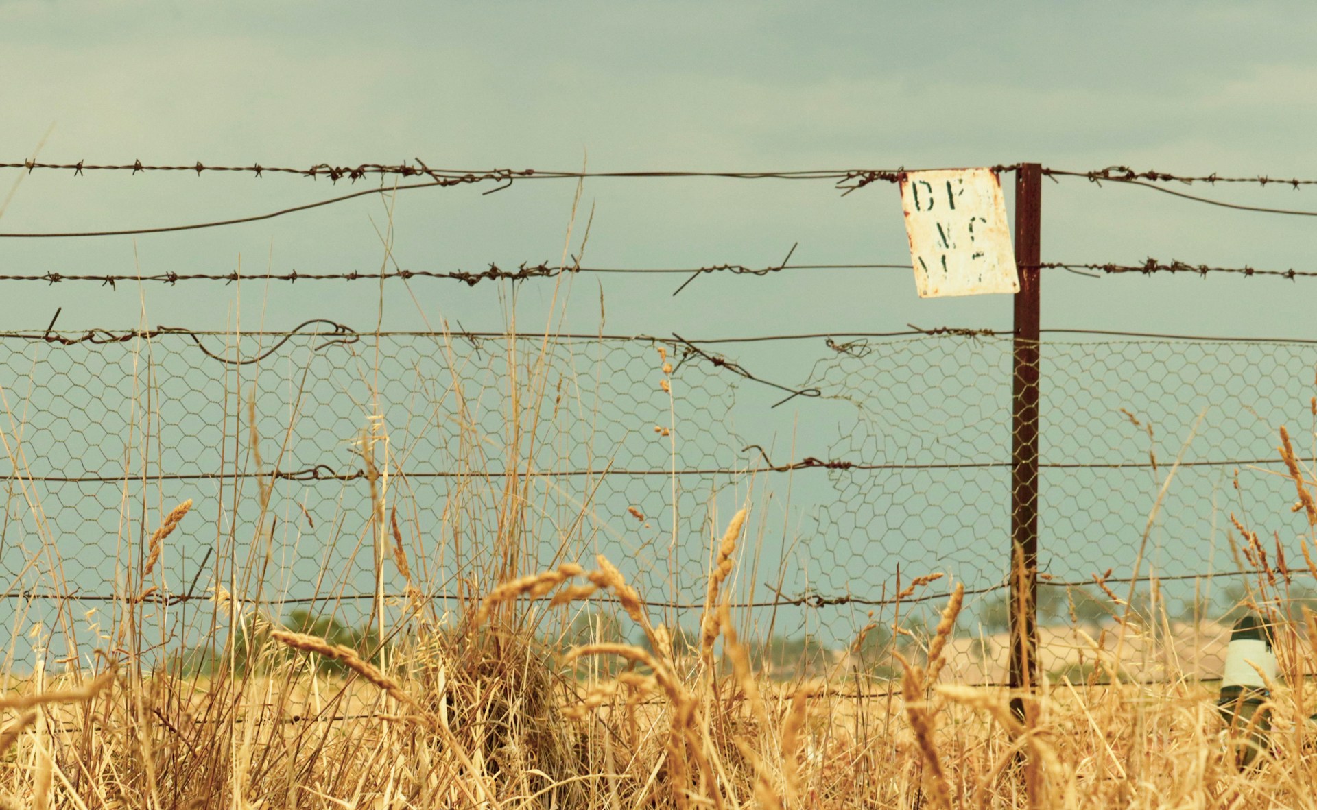 Daniel-Morton-Vqy96Xu8-Ka-Unsplash