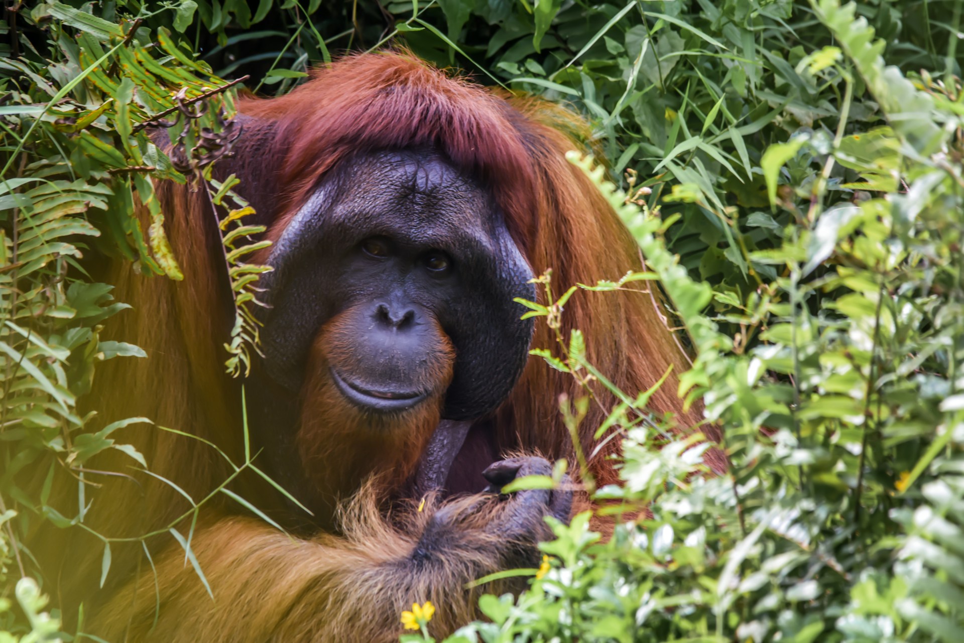 Simone-Millward-Nkgio 6E 4K-Unsplash