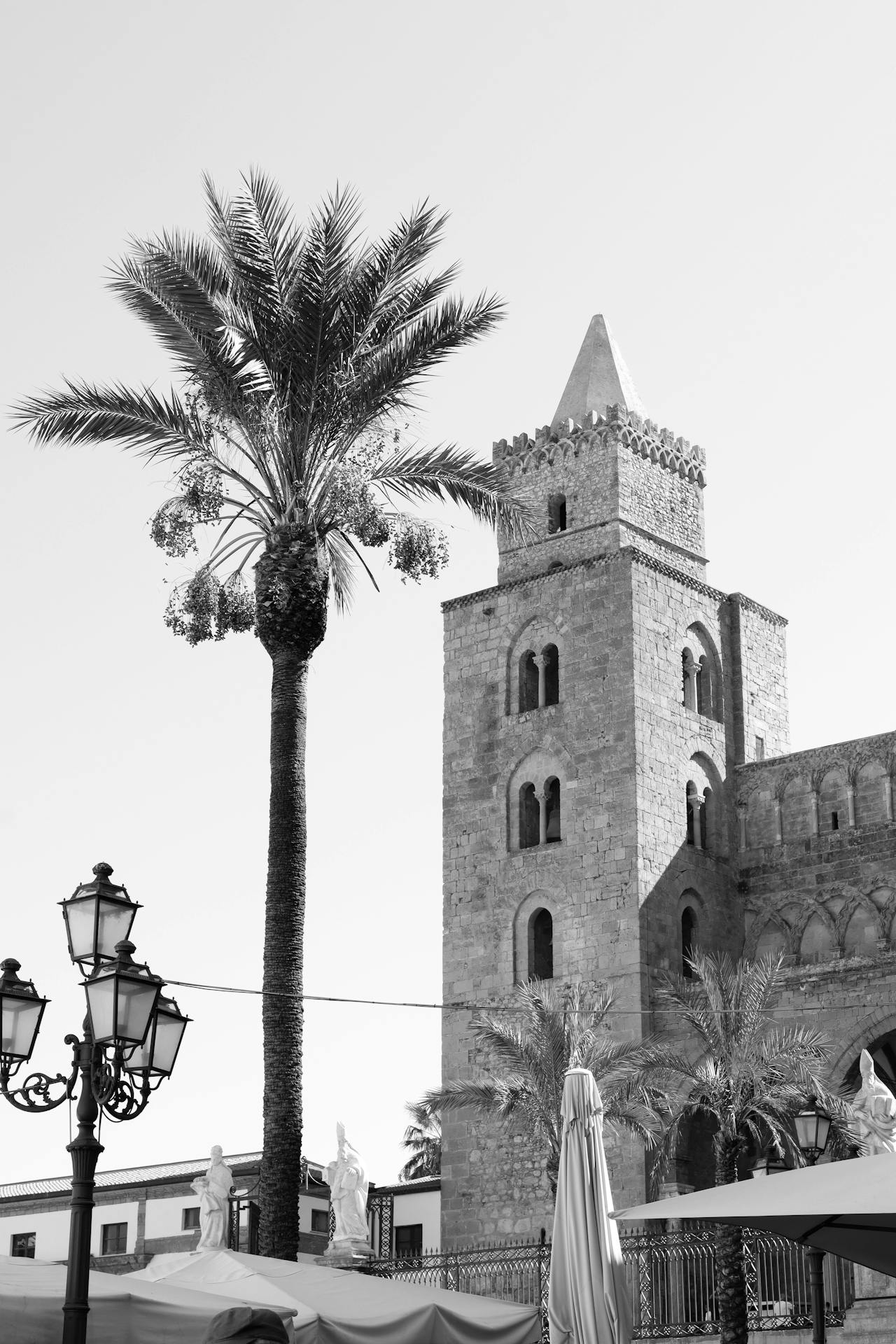 Pexels-Efrem-Efre-2786187-20239307