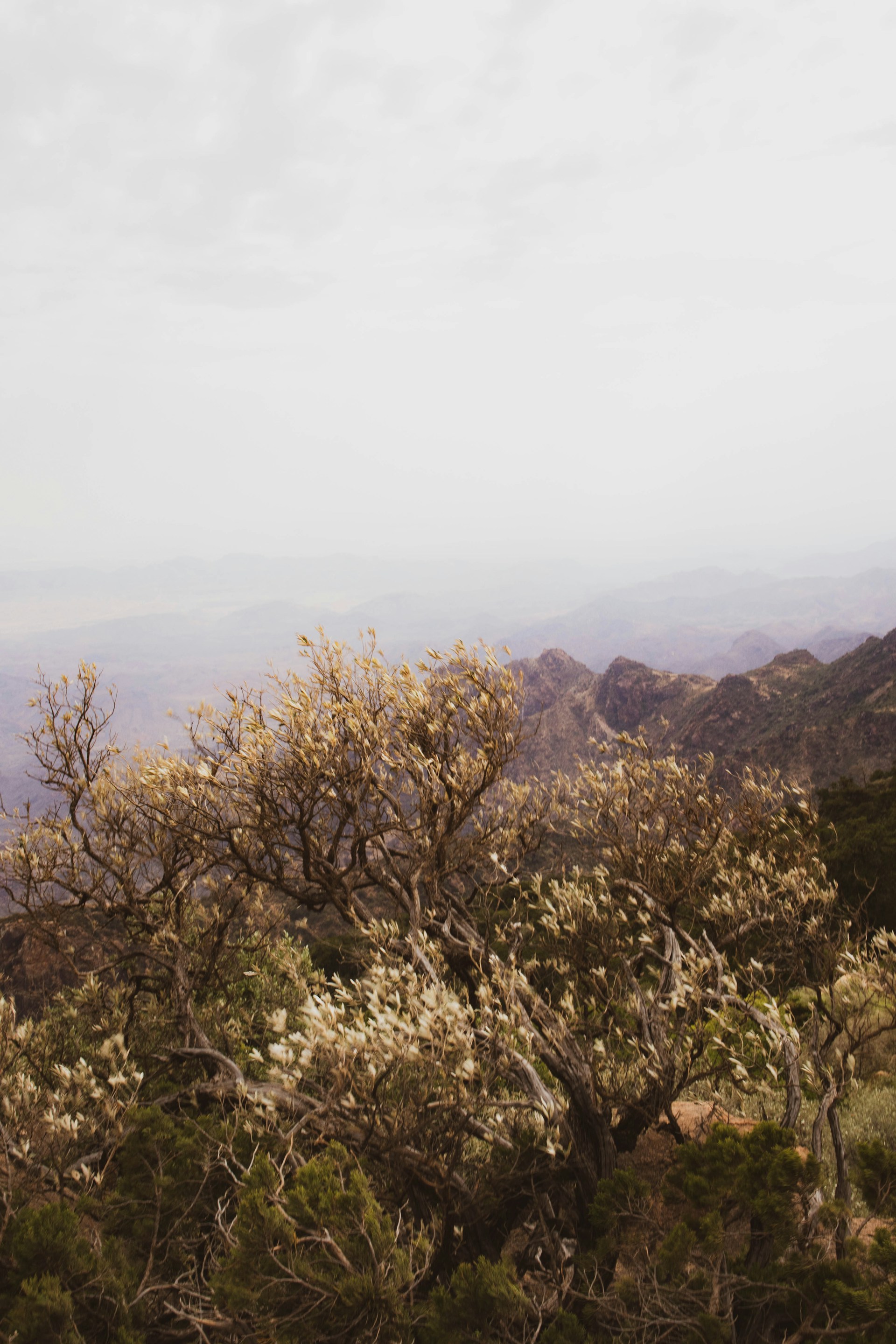 Yasin-Yusuf-Hhuleiplhp0-Unsplash
