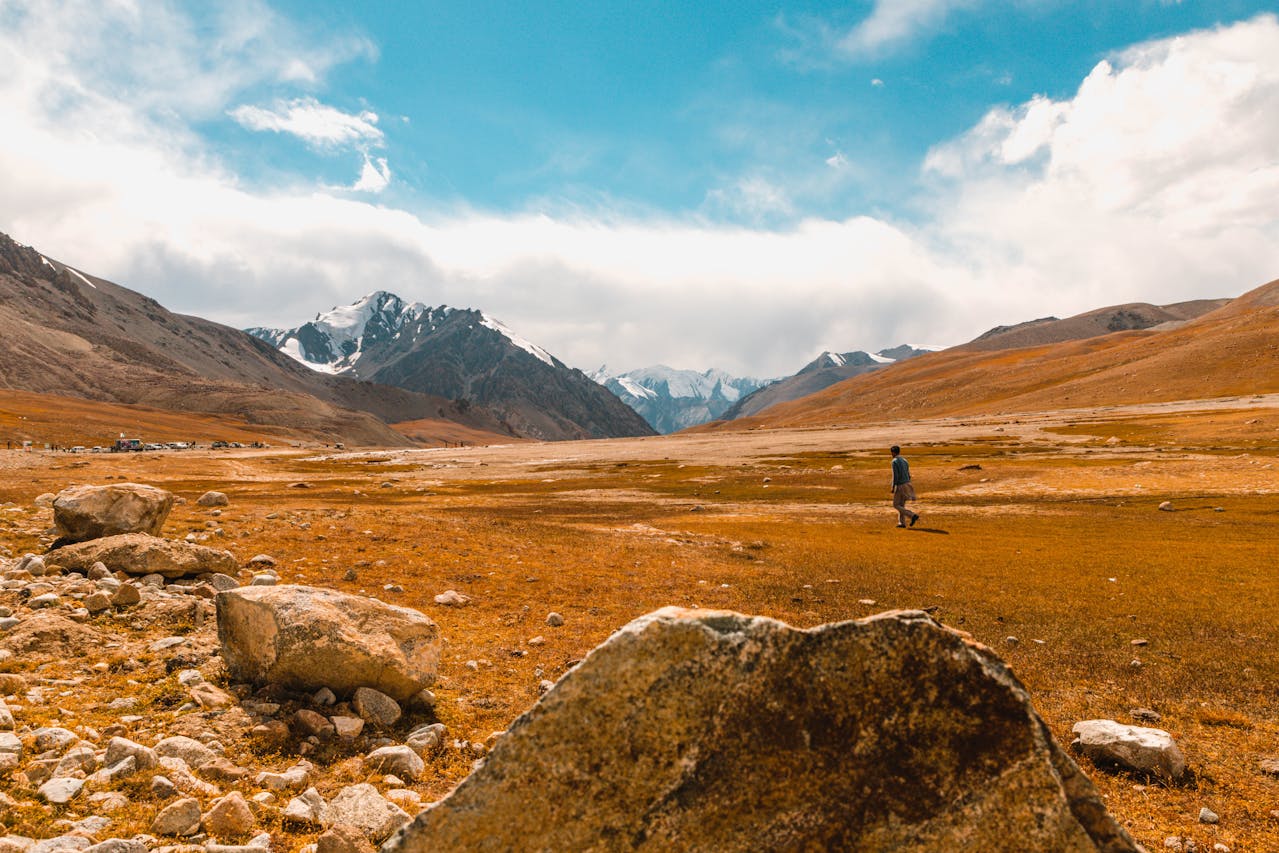 Pexels-Aadil-2562345