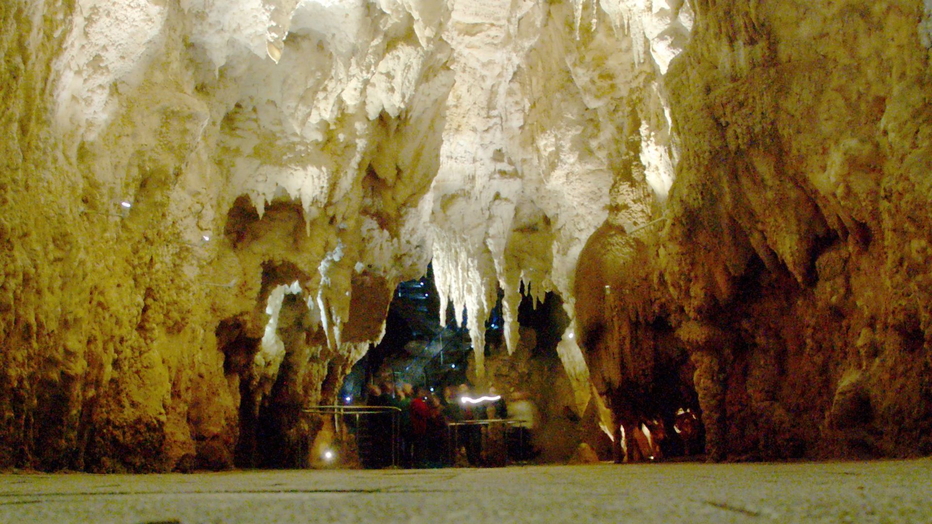 File:'Cathedral' in Waitomo Cave.jpg