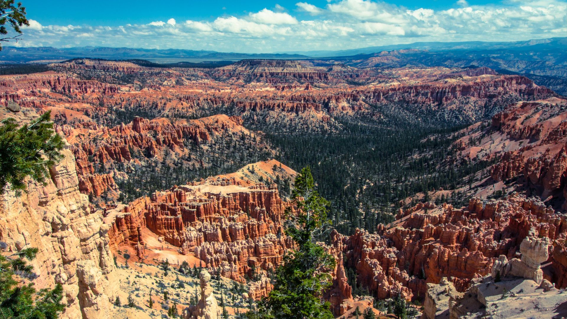aerial photography of rock formations