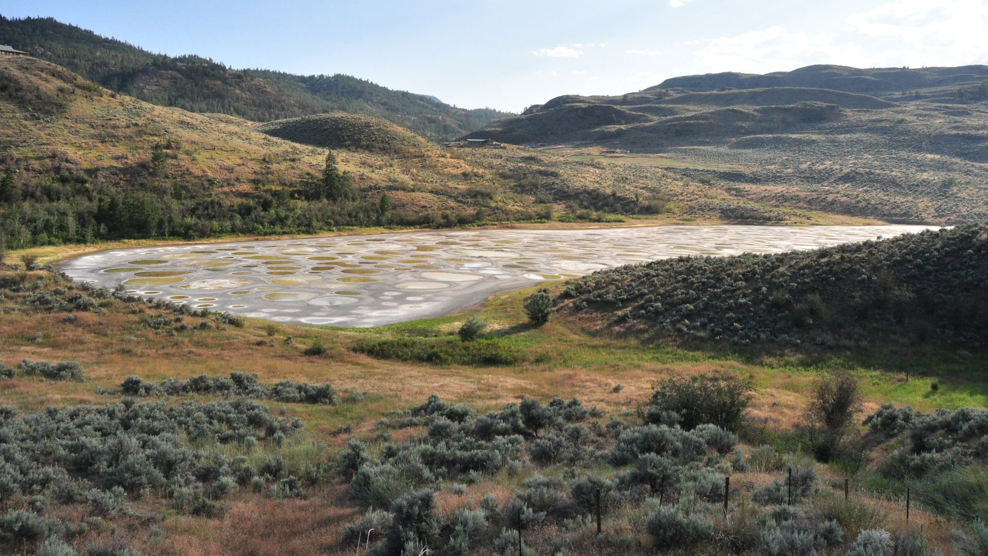 File:Spotted Lake Osoyoos.JPG