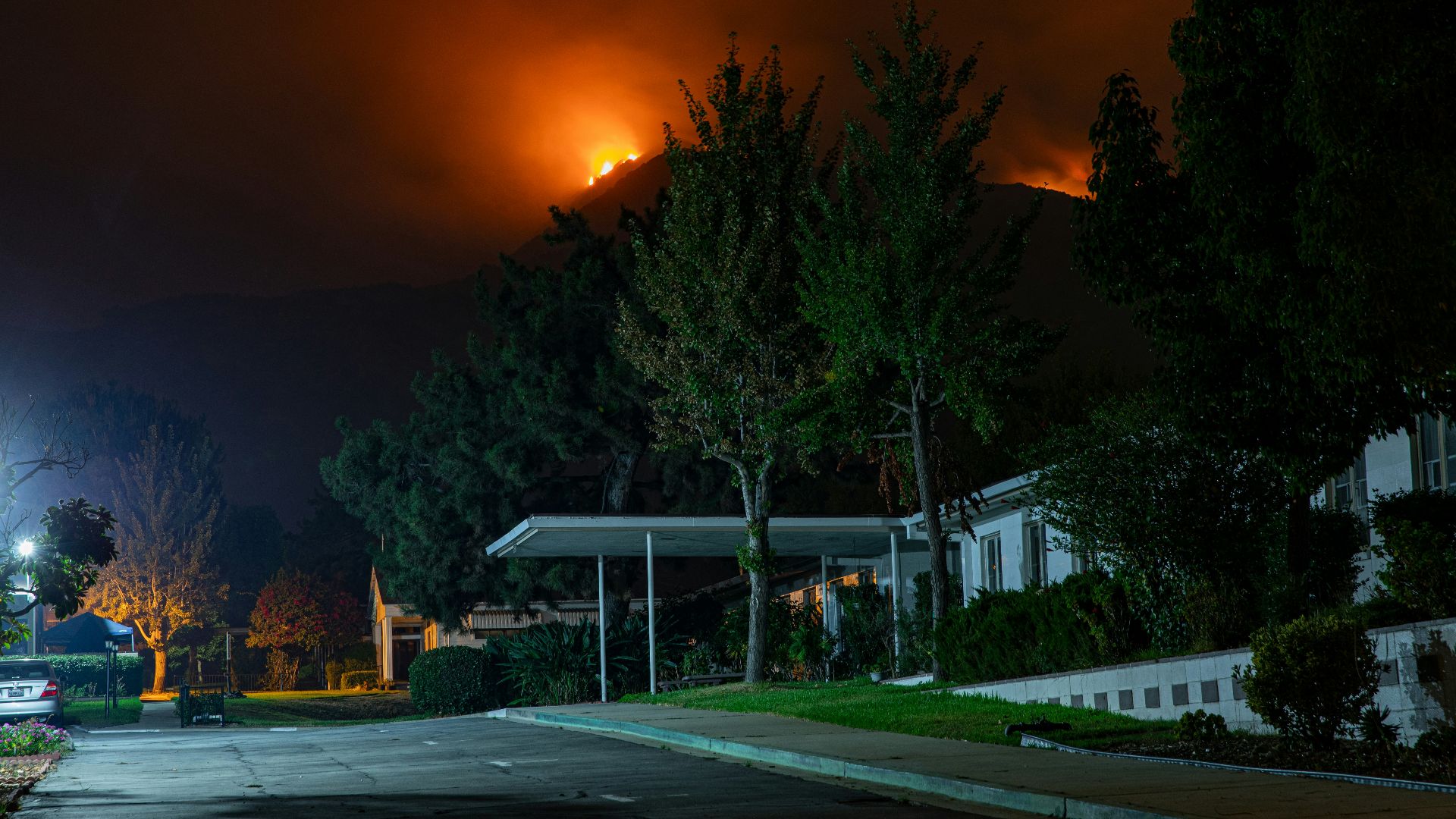 white and green house near green trees during night time