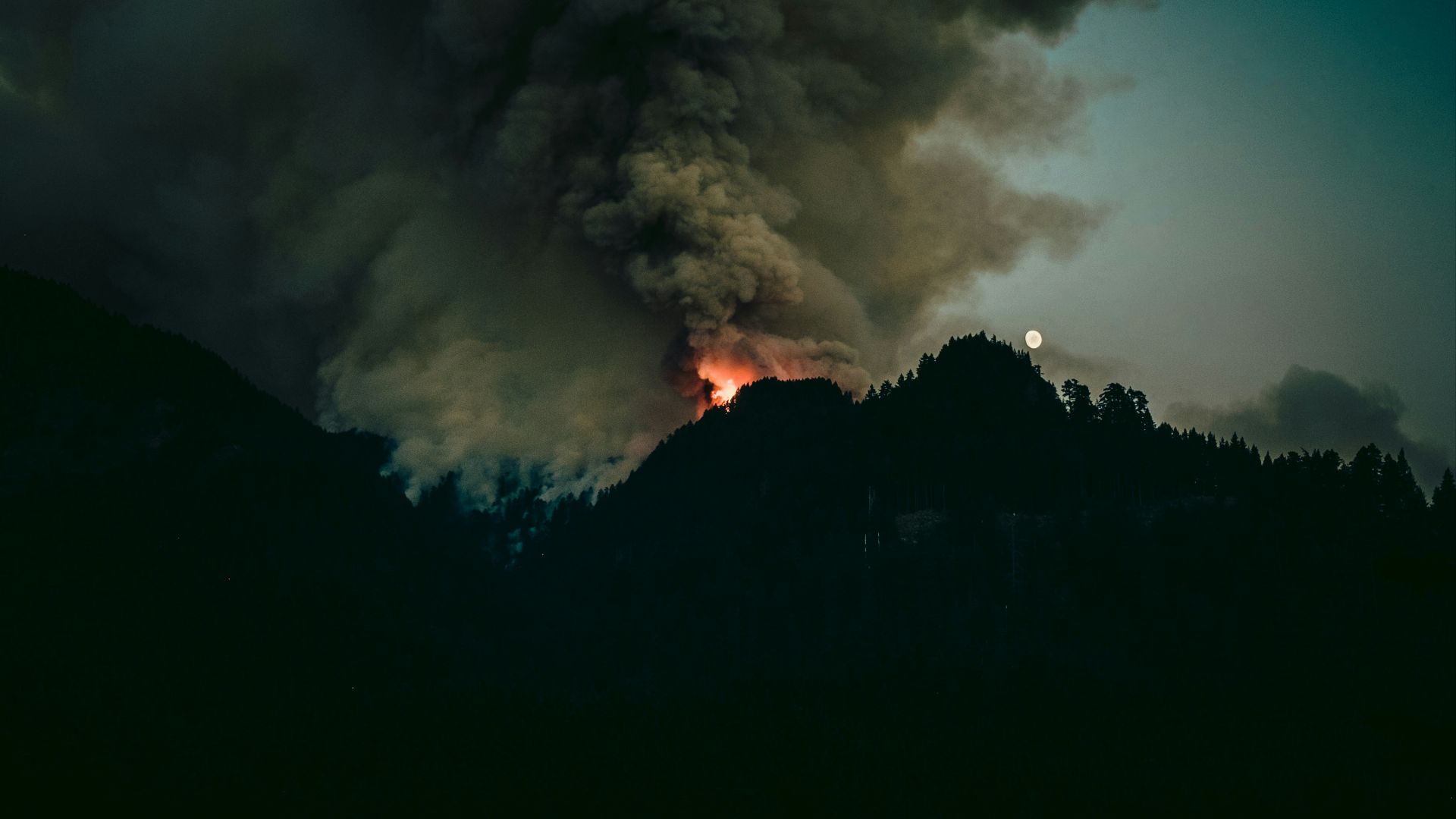 forest fire at daytime