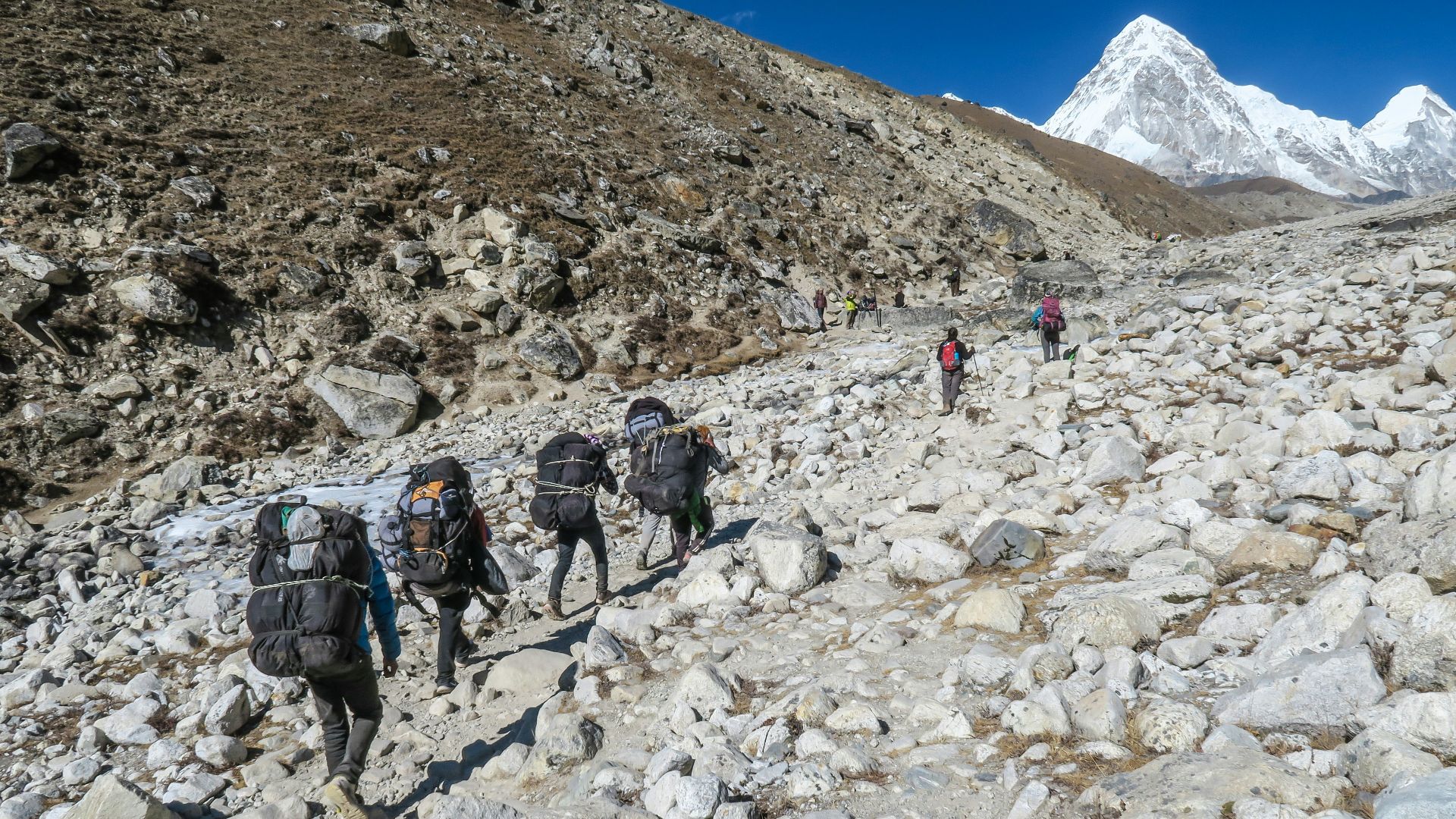 people carrying backpack
