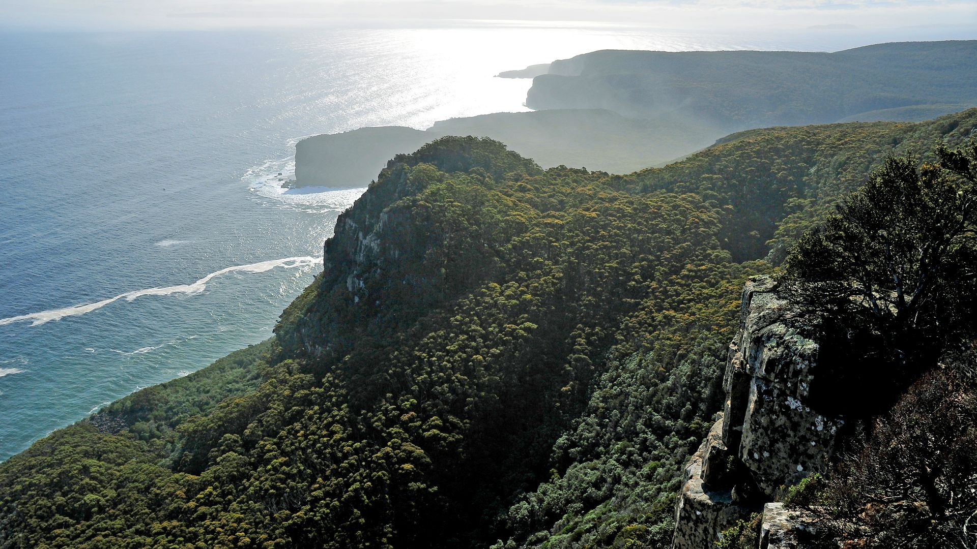 File:Paque Nacional de Tasman 1.jpg
