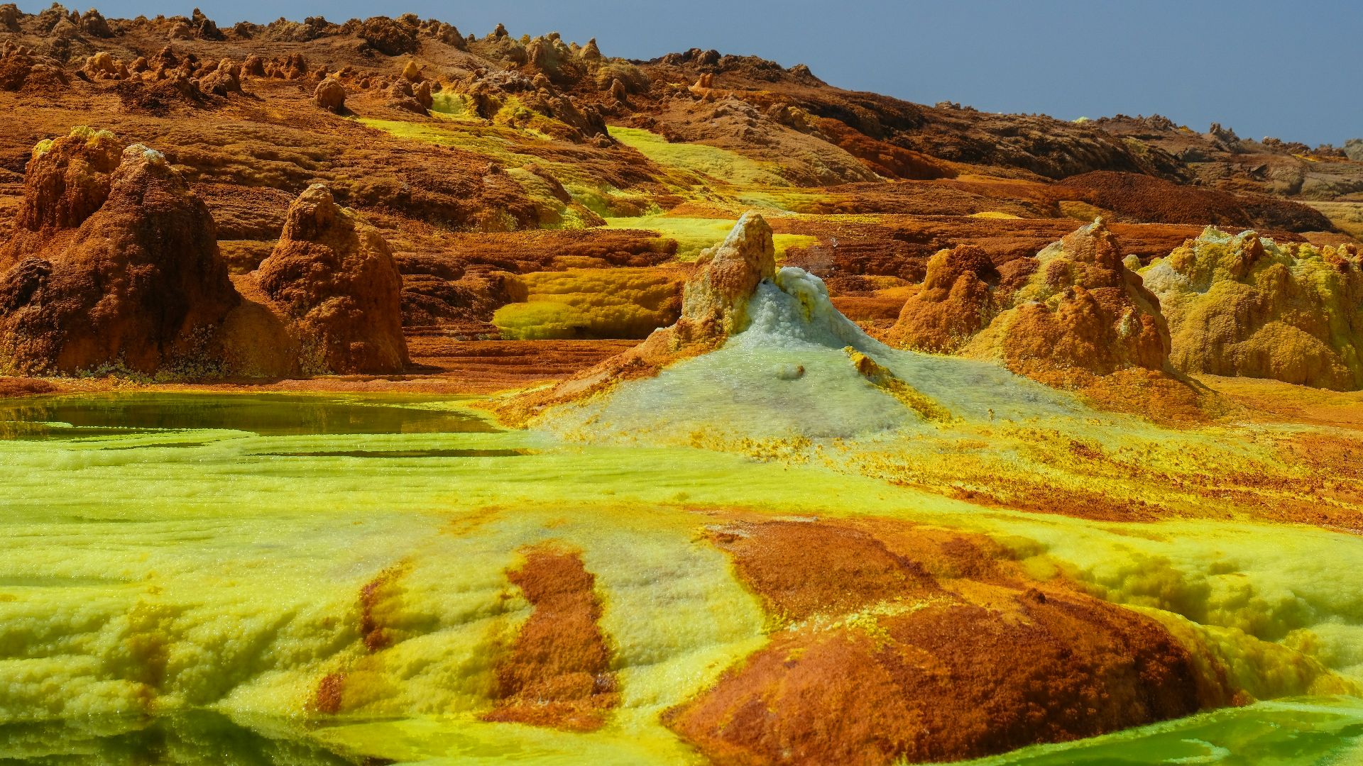 brown and green field under blue sky during daytime