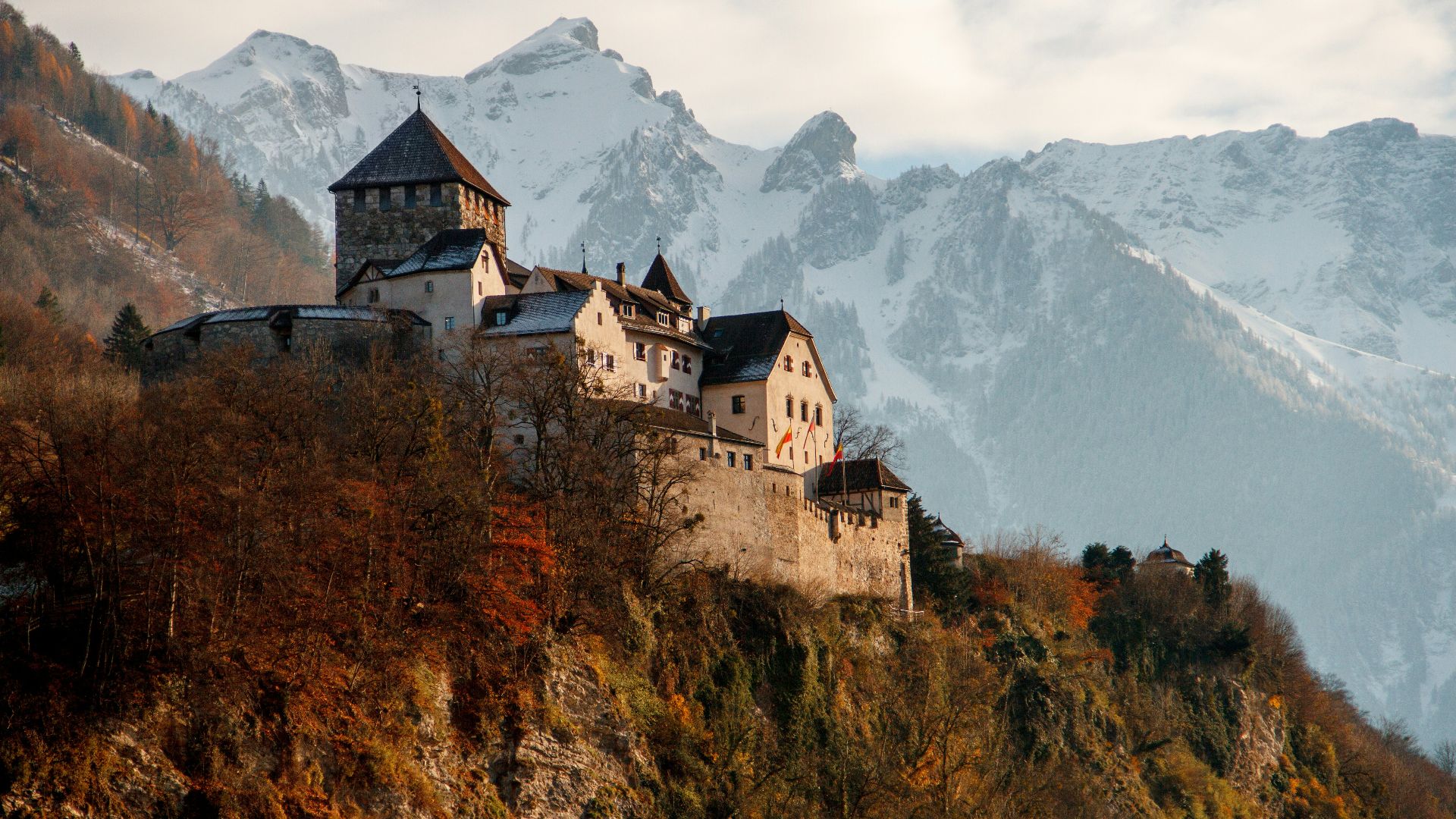 castle on mountain surrounded by trees