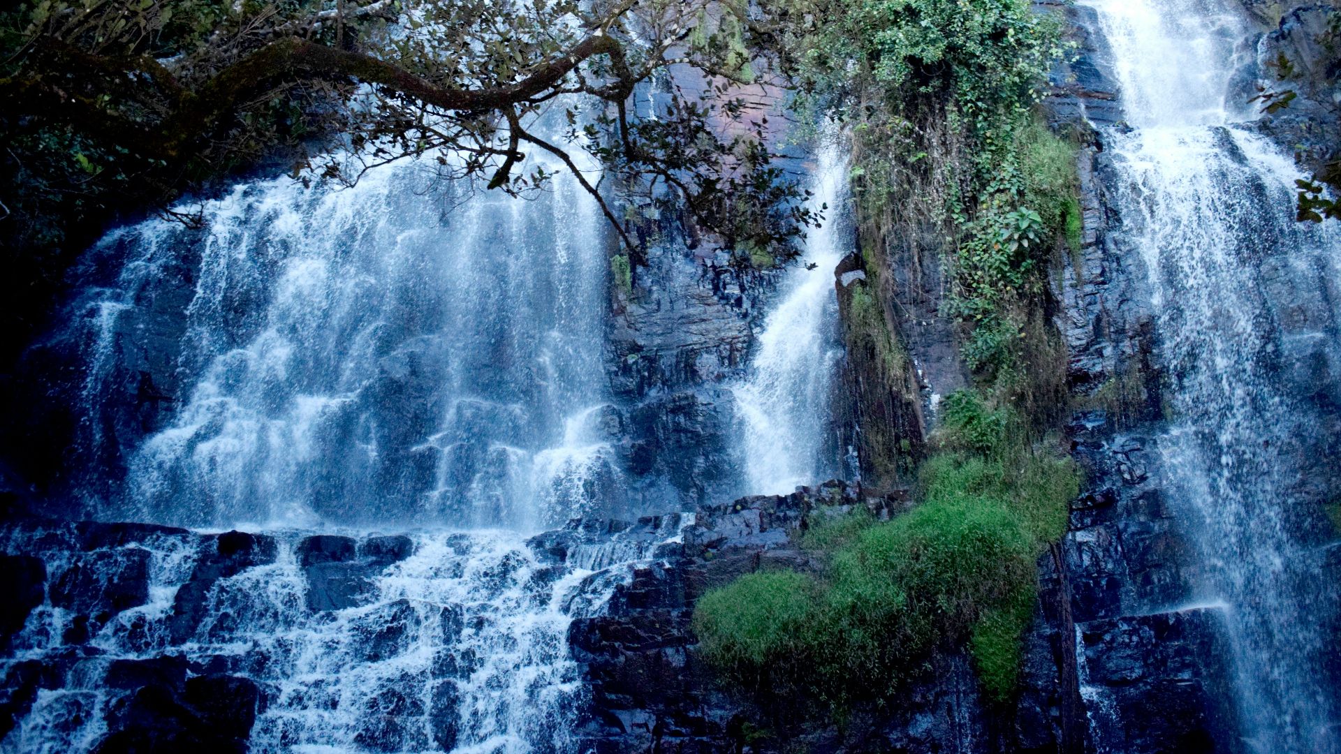 a large waterfall with a tree in front of it