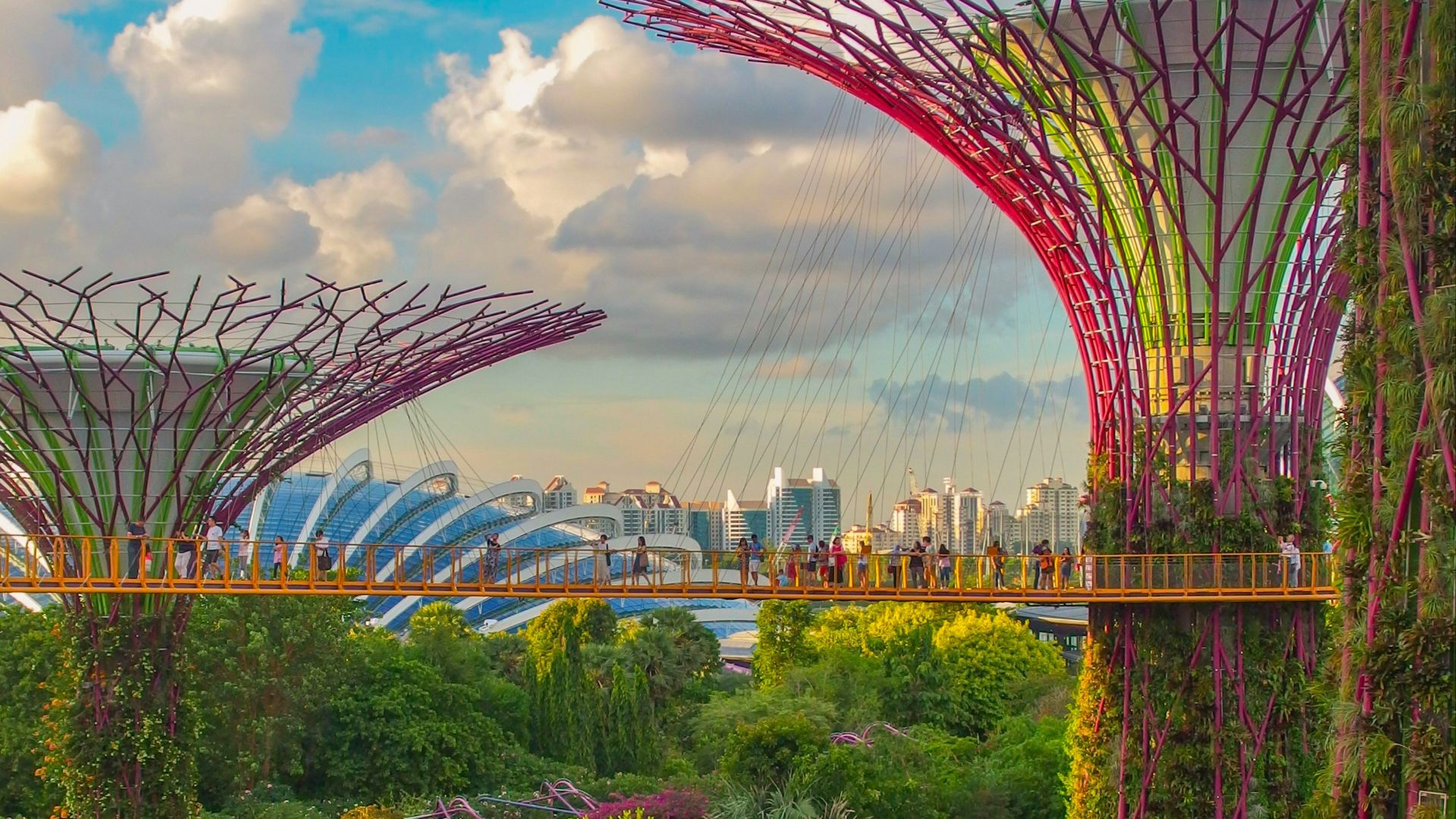 people crossing bridge