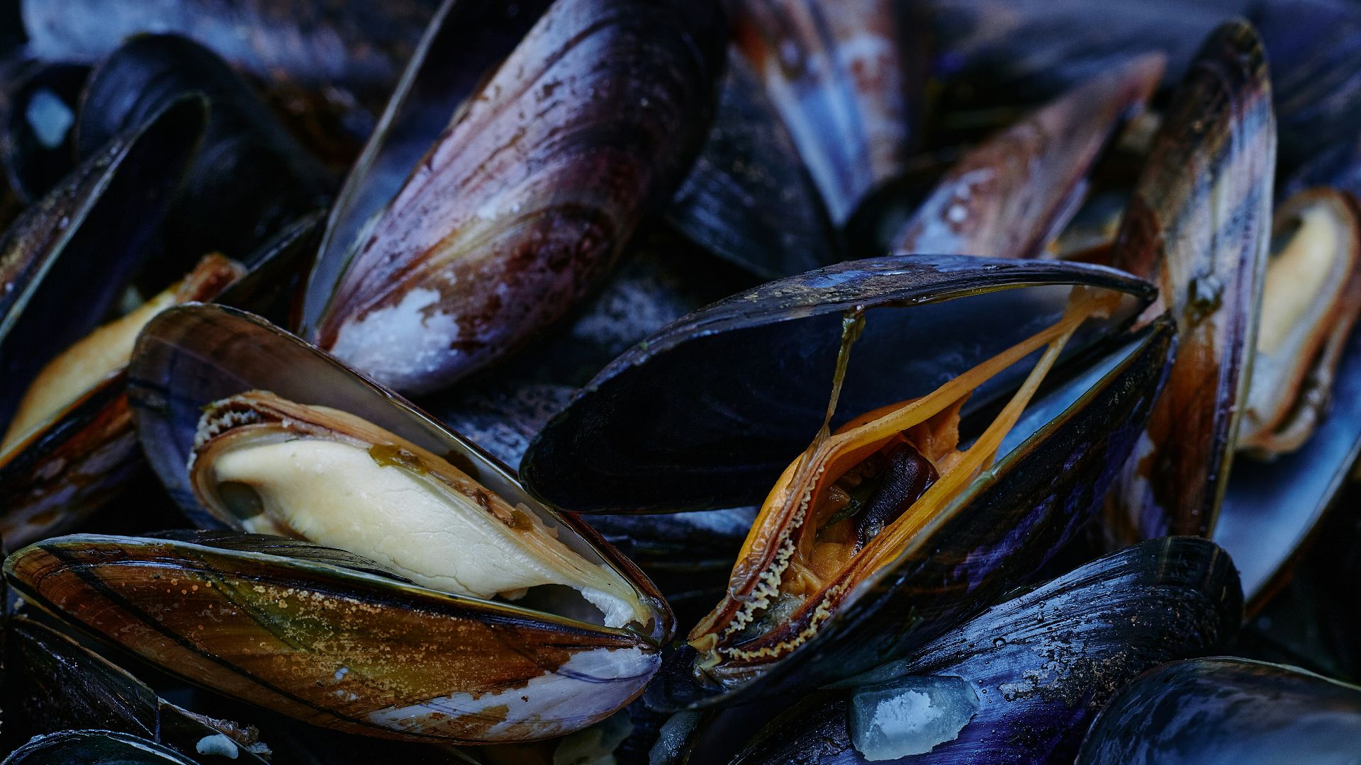 black and brown stones on black surface