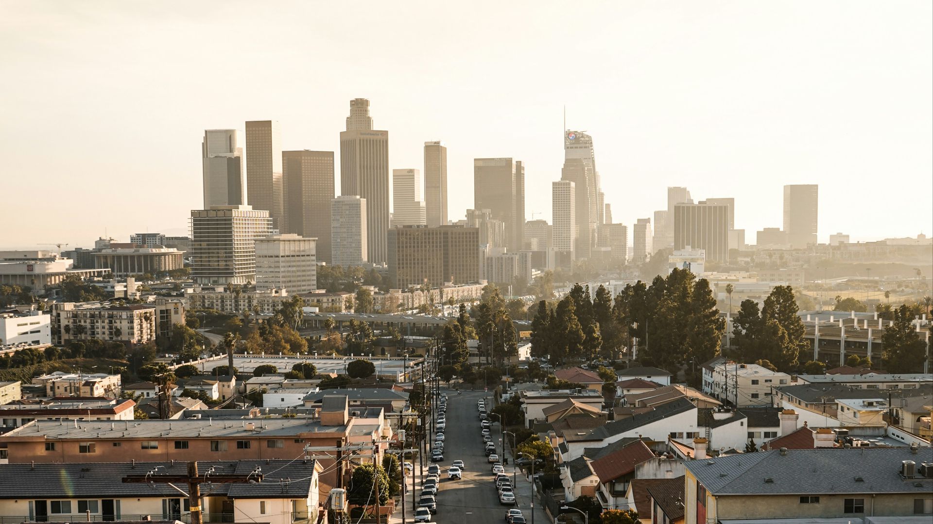 cars parked on roadside in front of houses at daytime