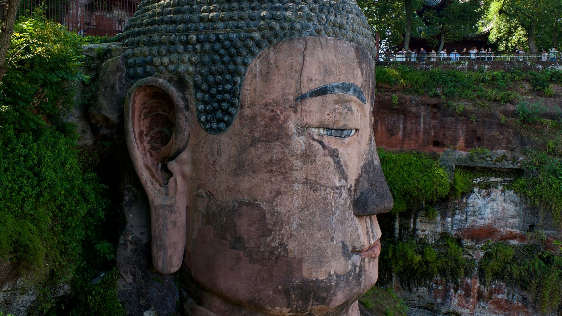 a large buddha statue sitting in the middle of a forest