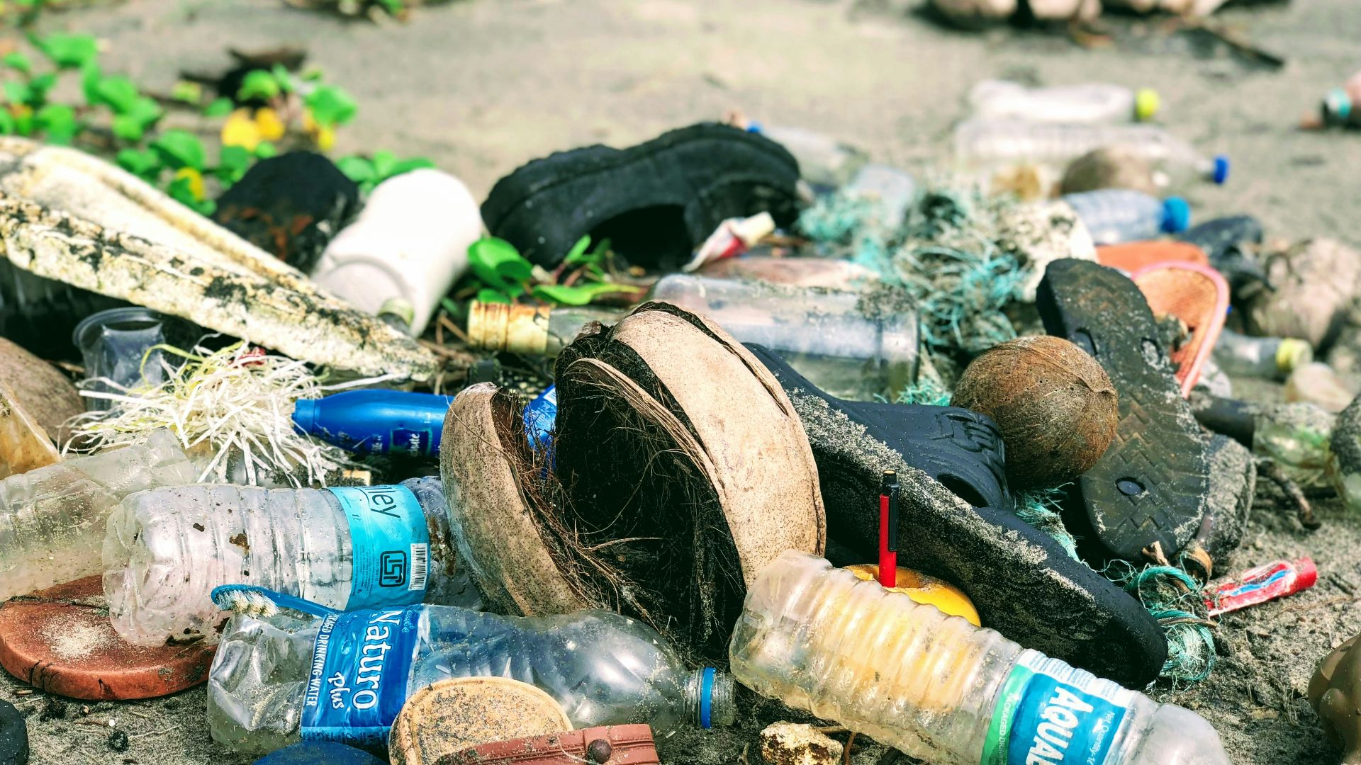 clear plastic water bottles
