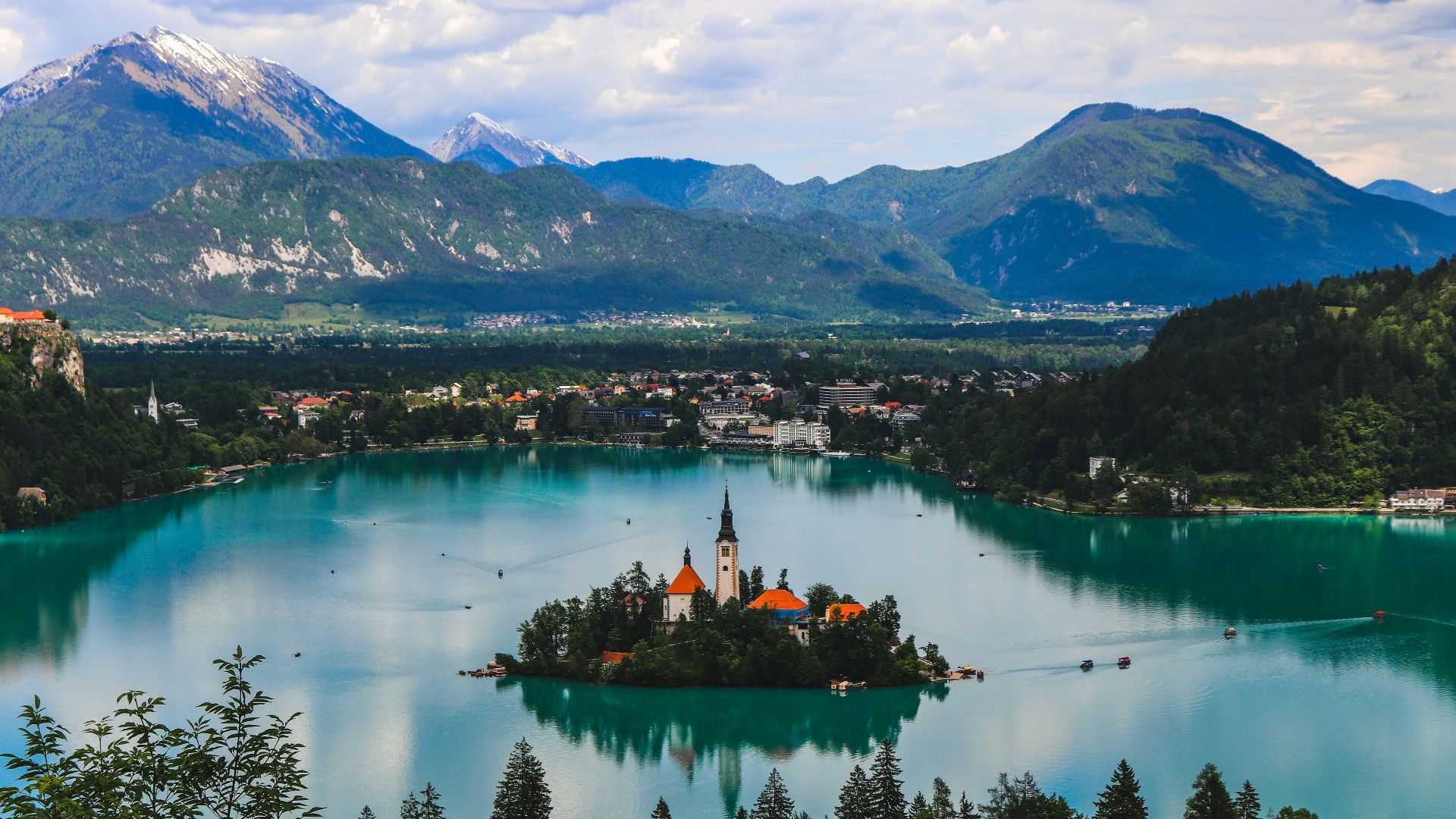 green trees near lake and mountains during daytime