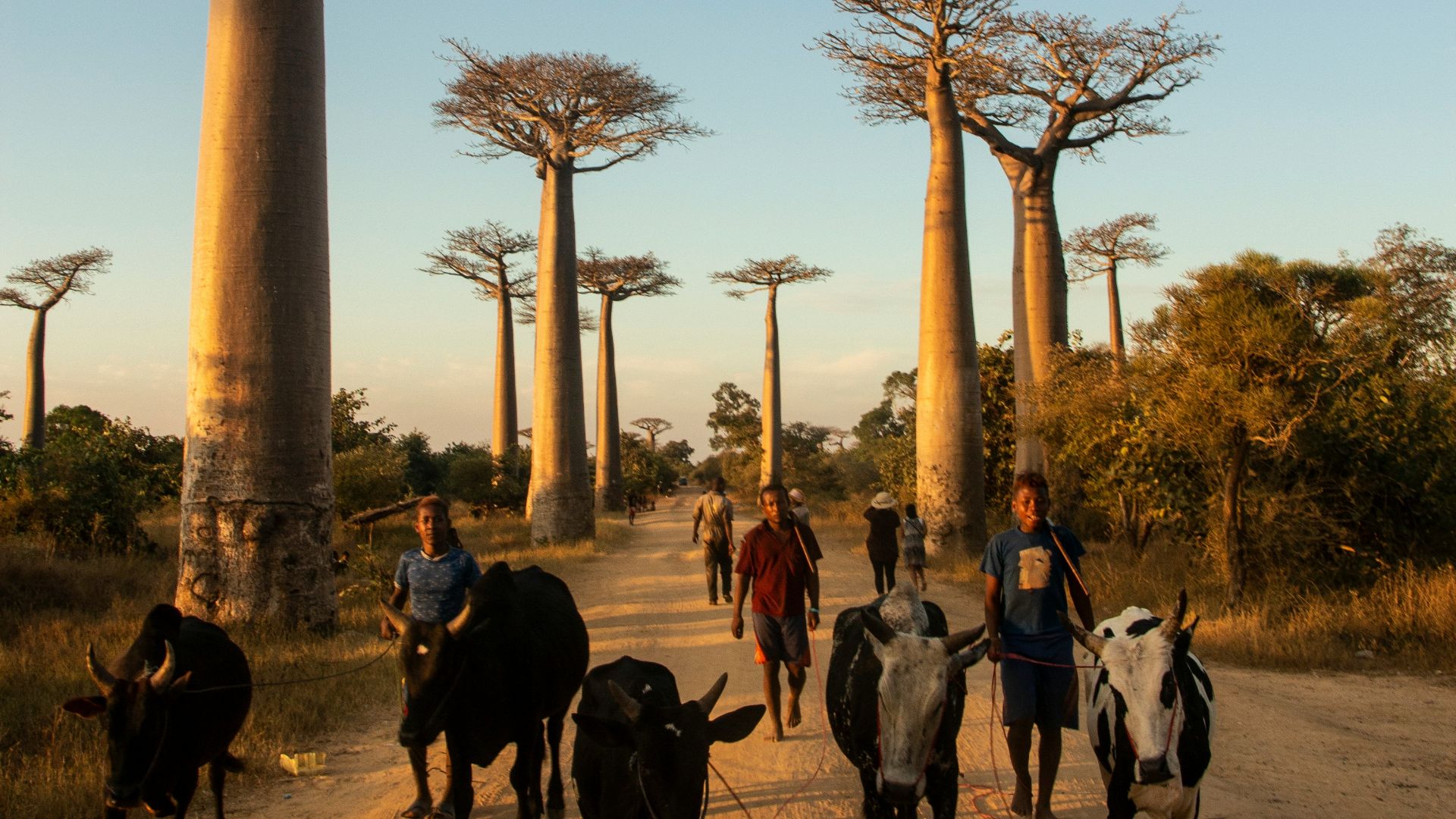 people walking on street near brown concrete tower during daytime