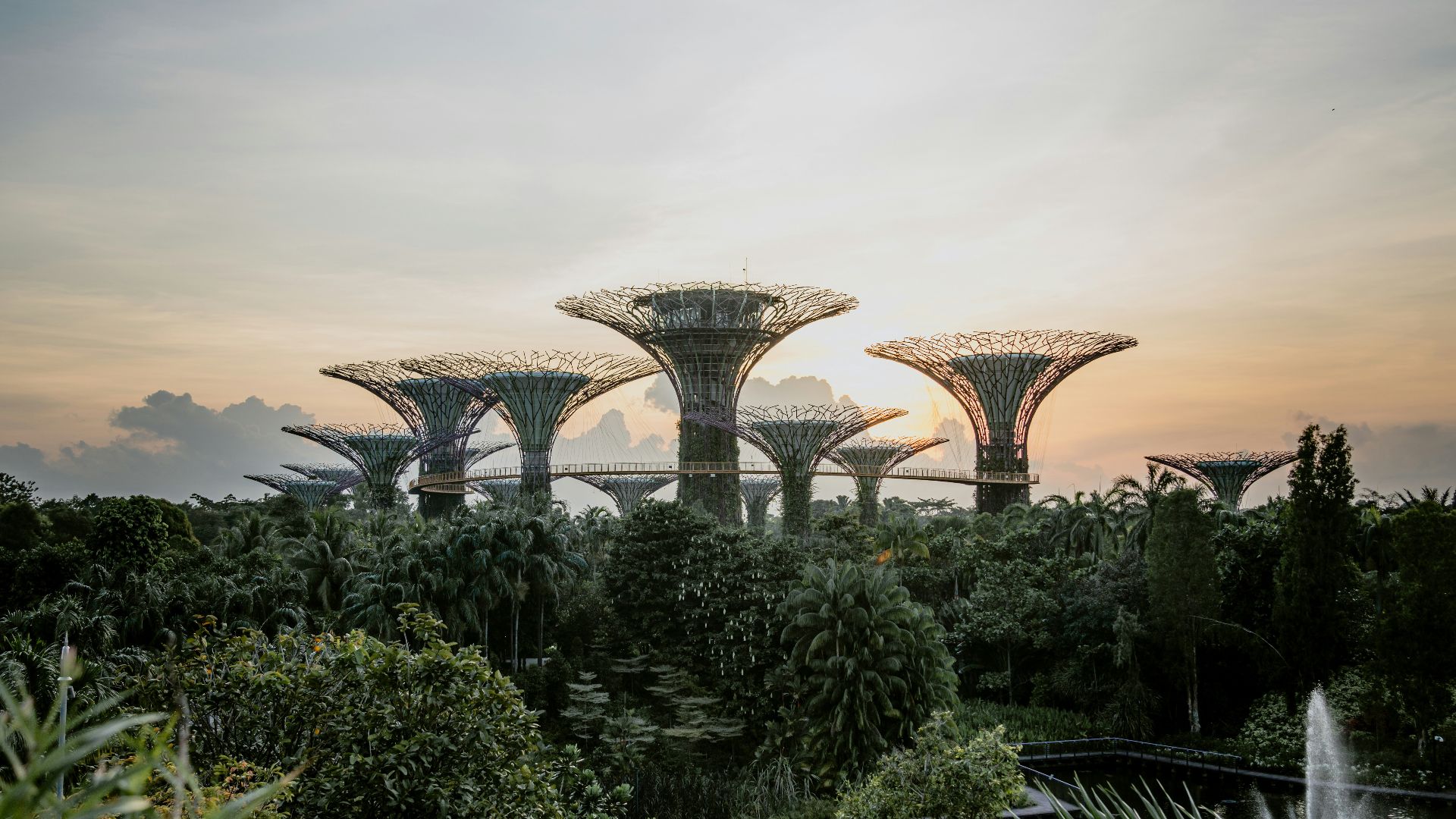 green trees and plants under cloudy sky during daytime