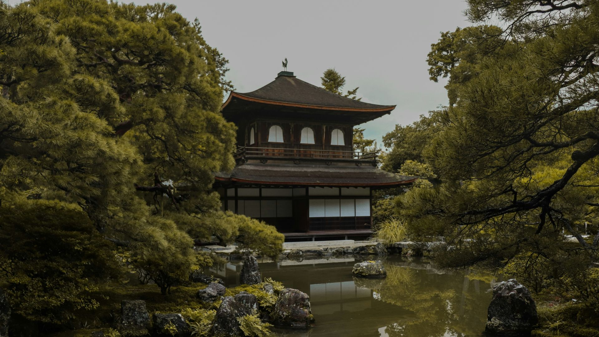 castle surrounded with waters