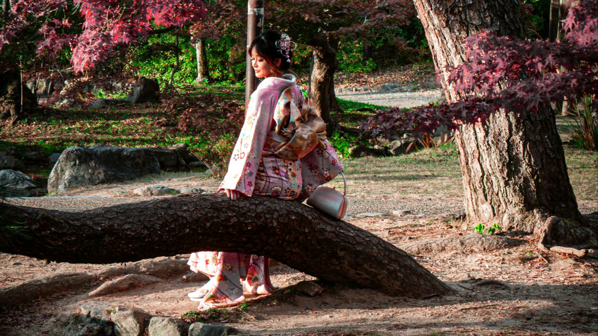 A woman sitting on a tree branch in a park