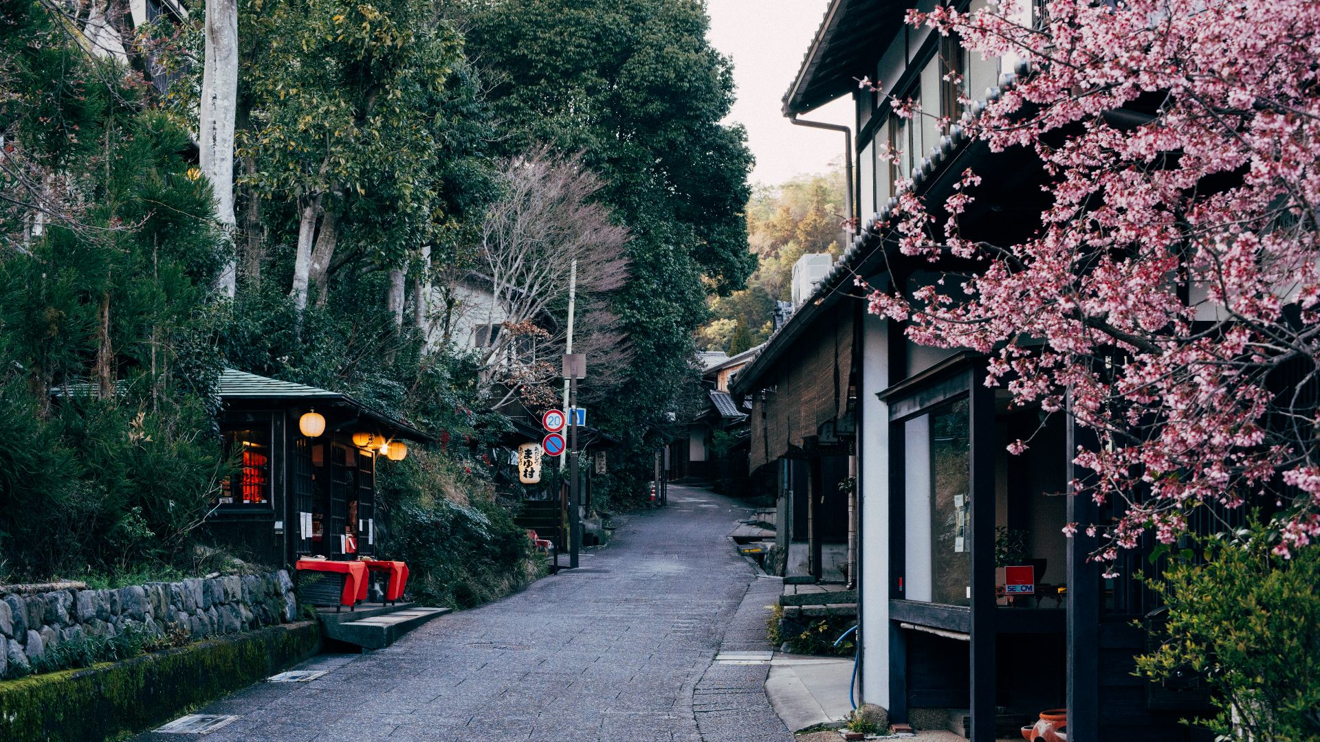 gray concrete road between houses and trees during daytime