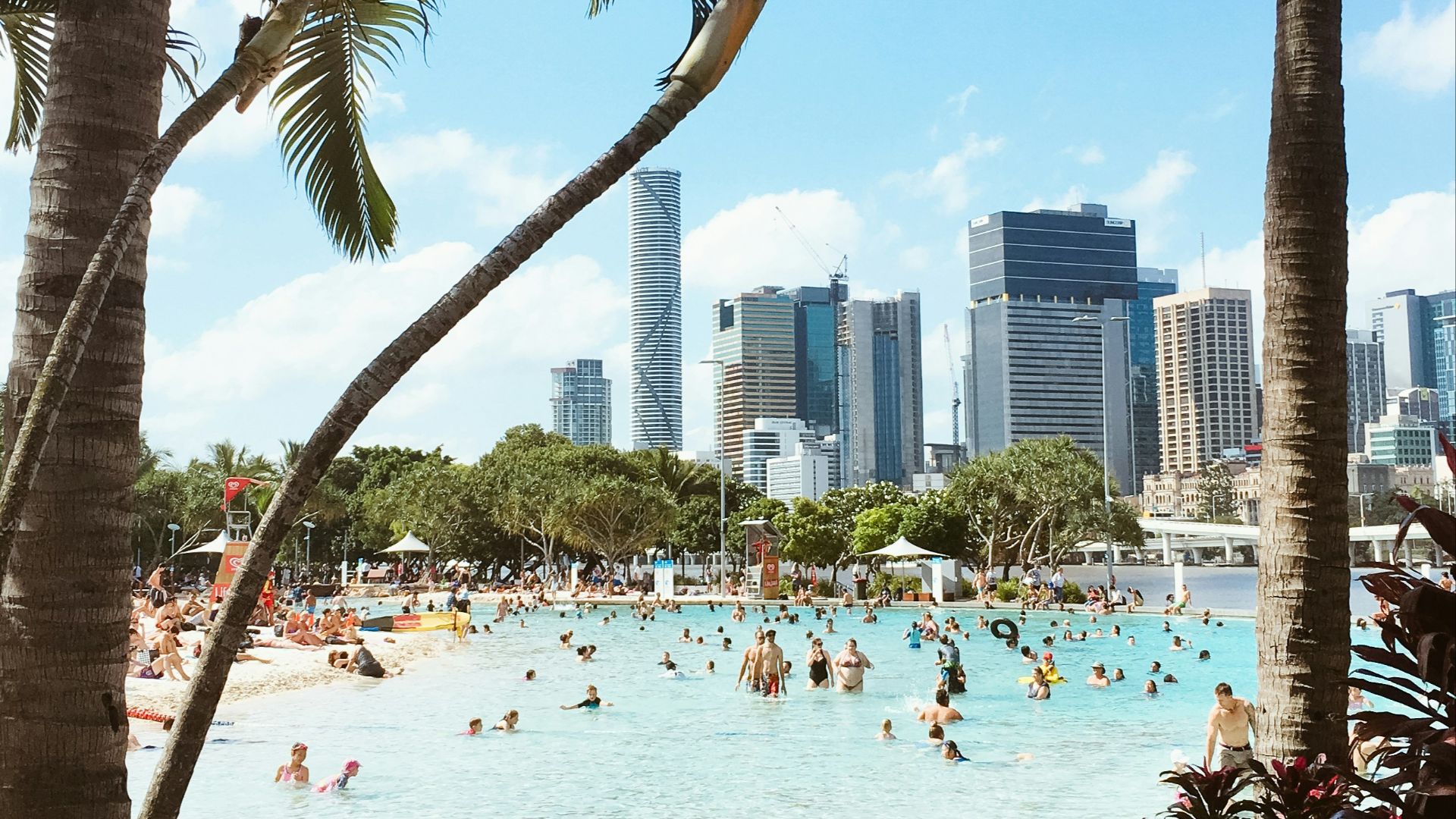 people on beach during daytime