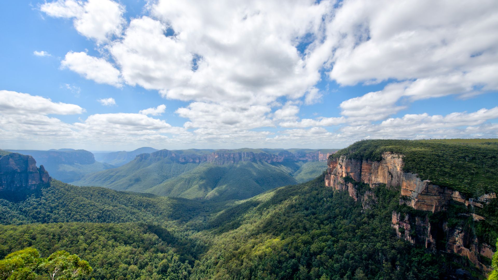 trees on mountain under cloudy sky