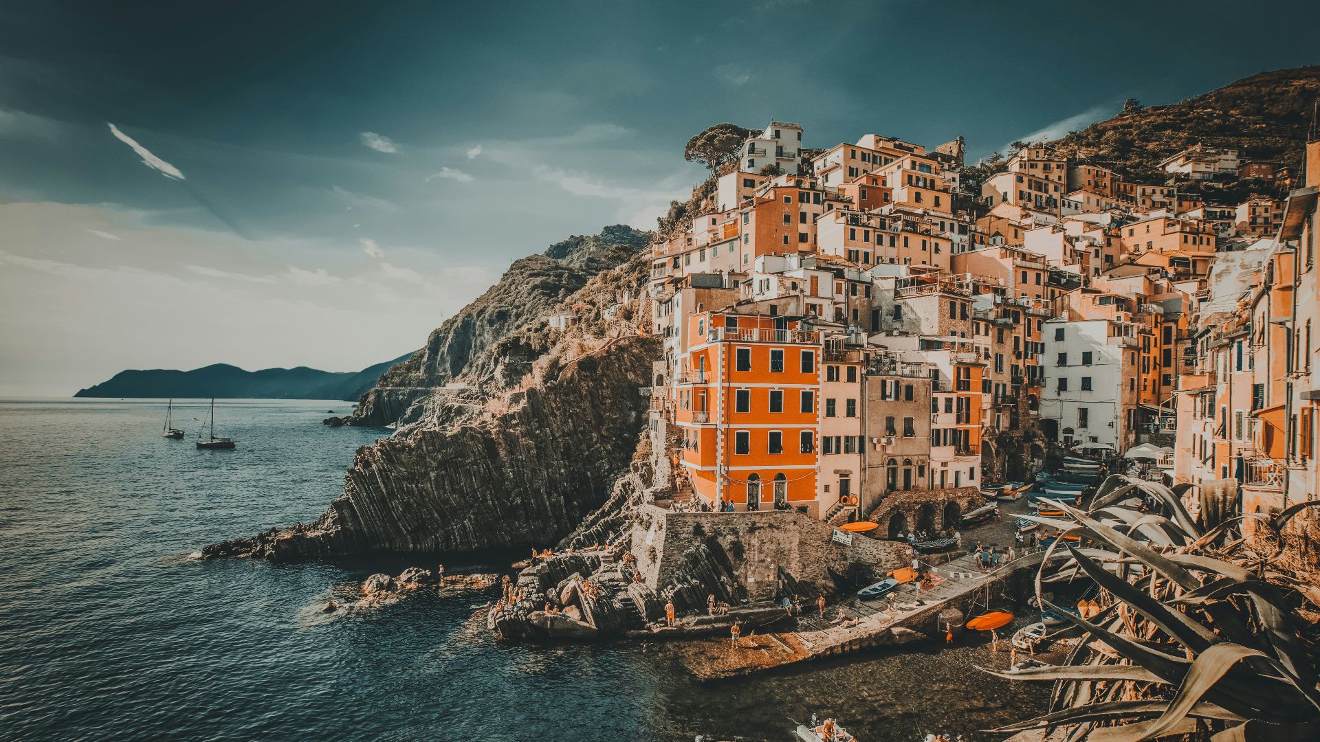 concrete buildings in Manarola during daytime