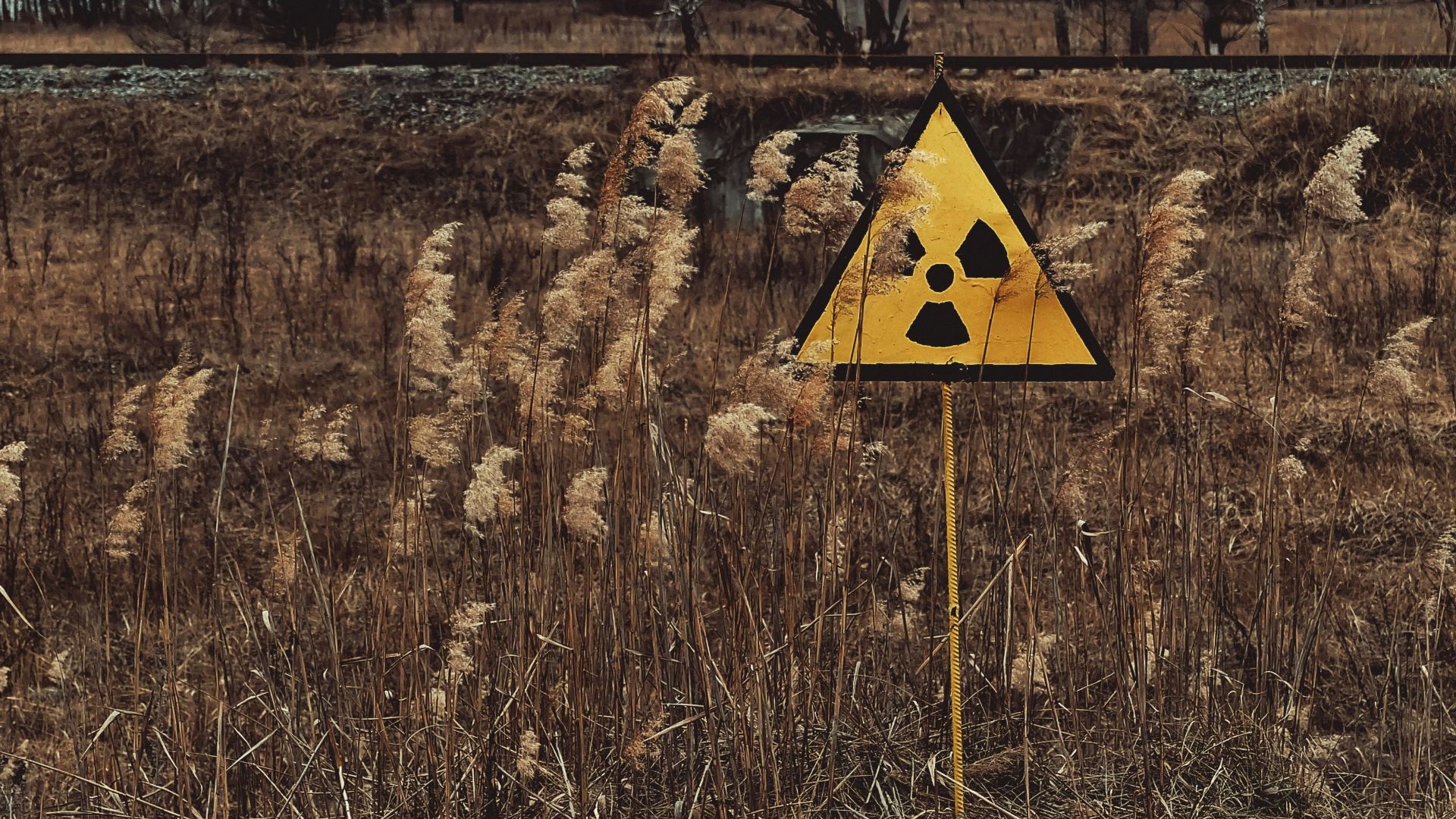 yellow and black house on brown grass field