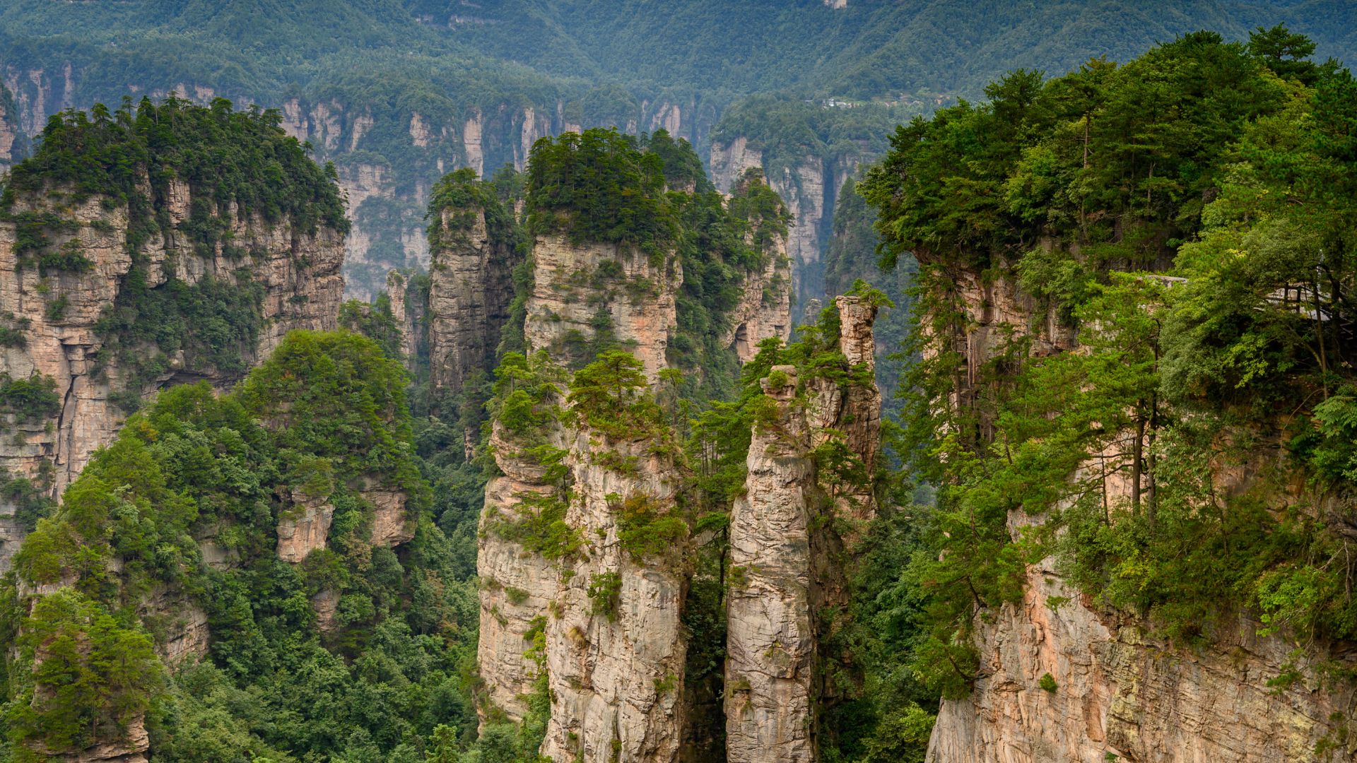 File:Zhangjiajie National Forest Park 38099-Zhangjiajie (48757253473).jpg
