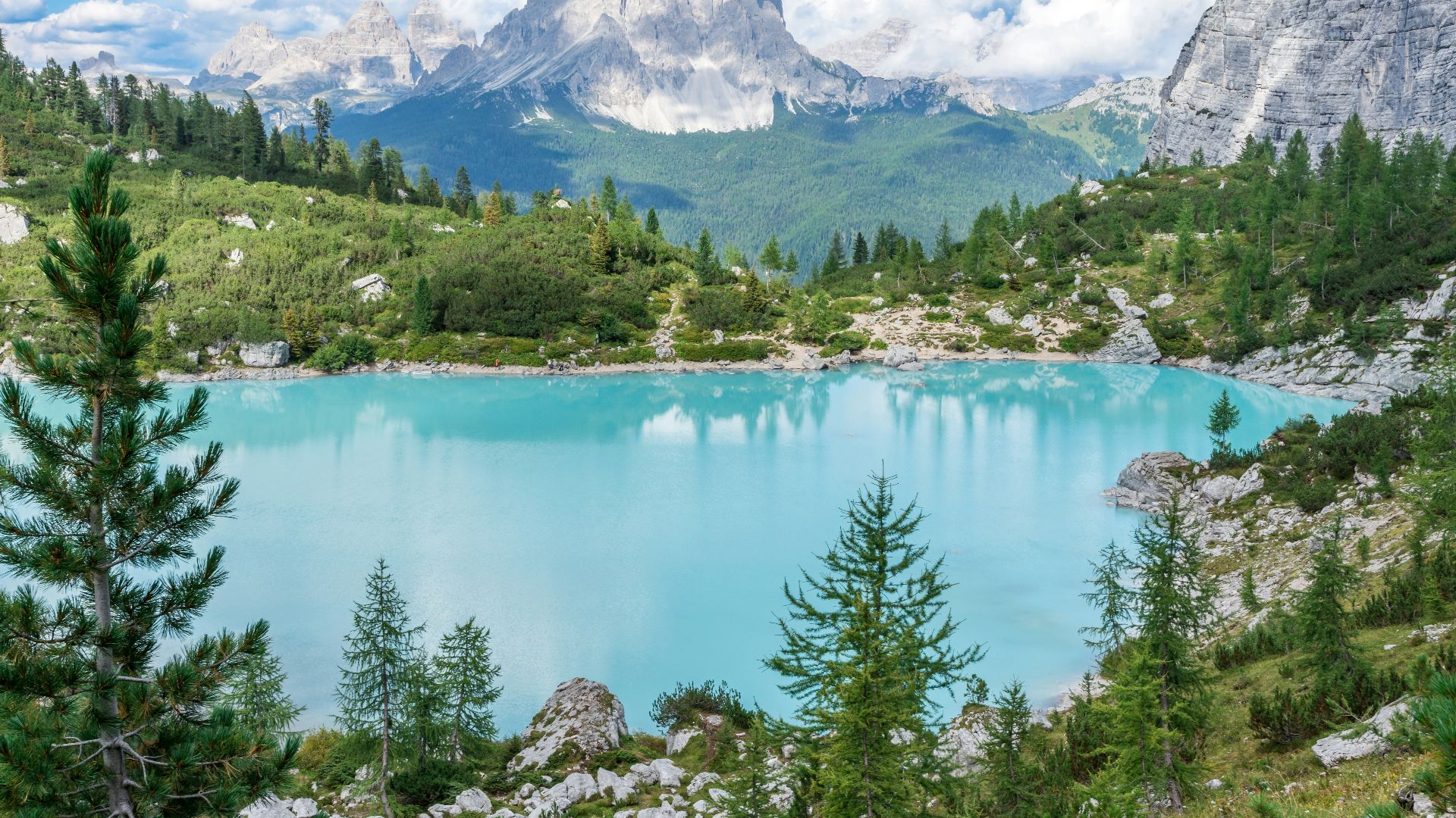 green pine trees near teal water at daytime