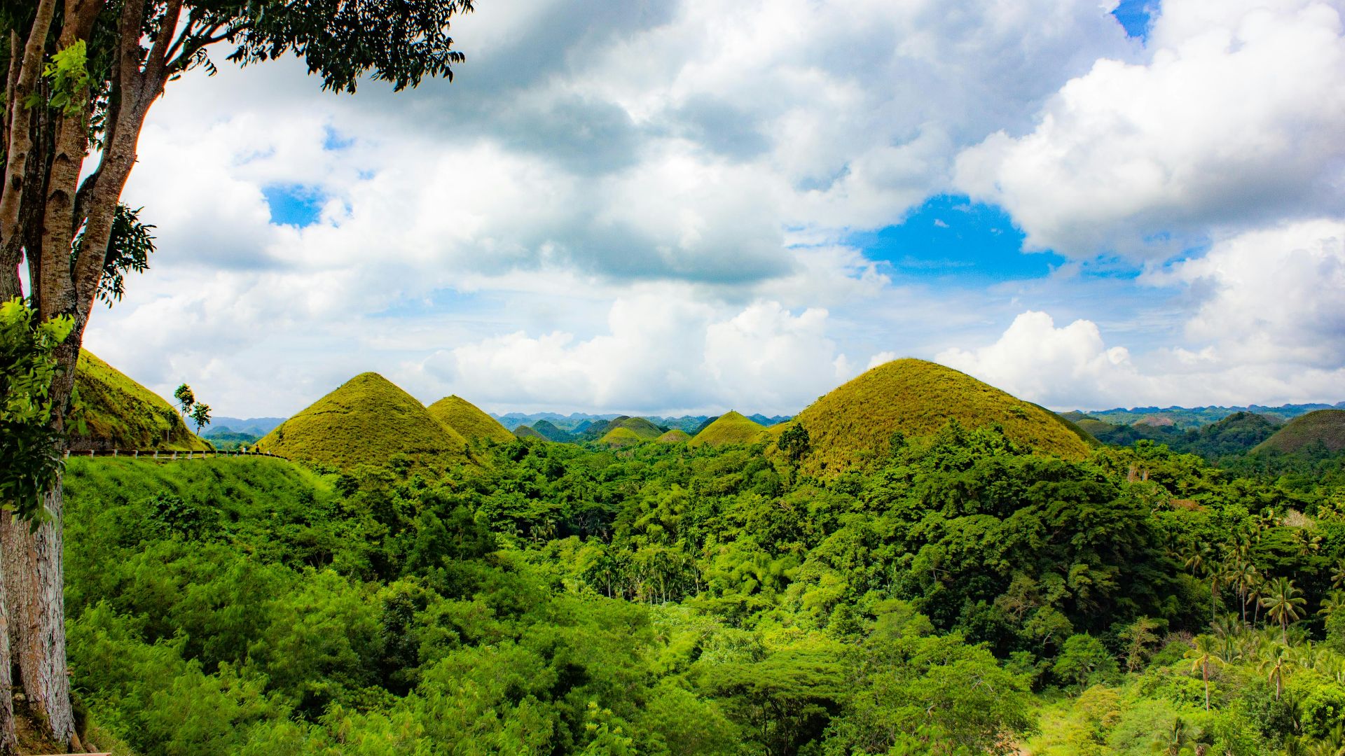 green trees and mountain under blue sky and white clouds during daytime