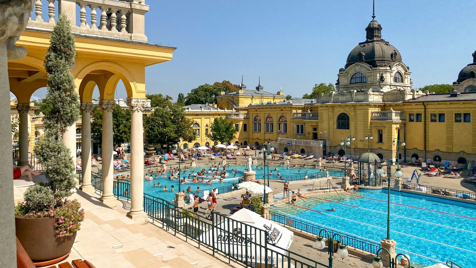 people in swimming pool during daytime
