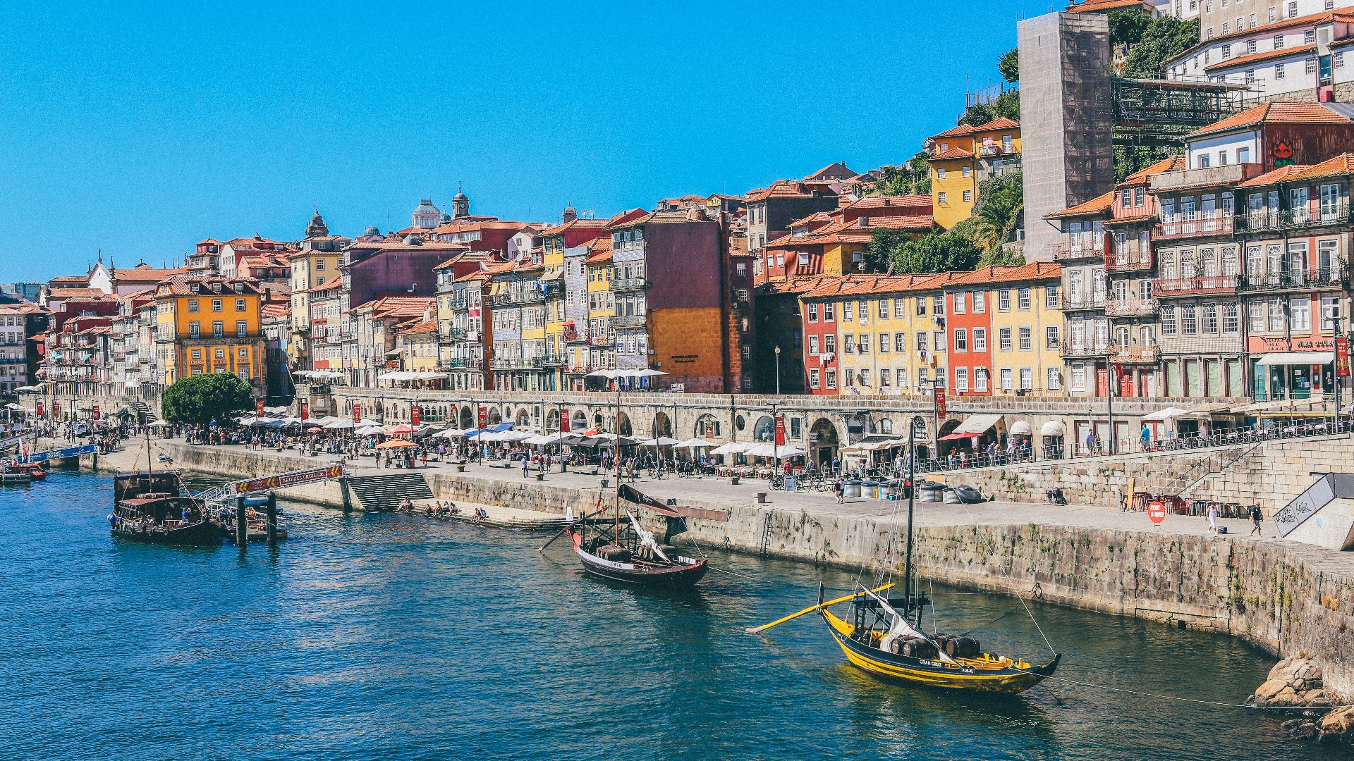 boats docked near seaside promenade]