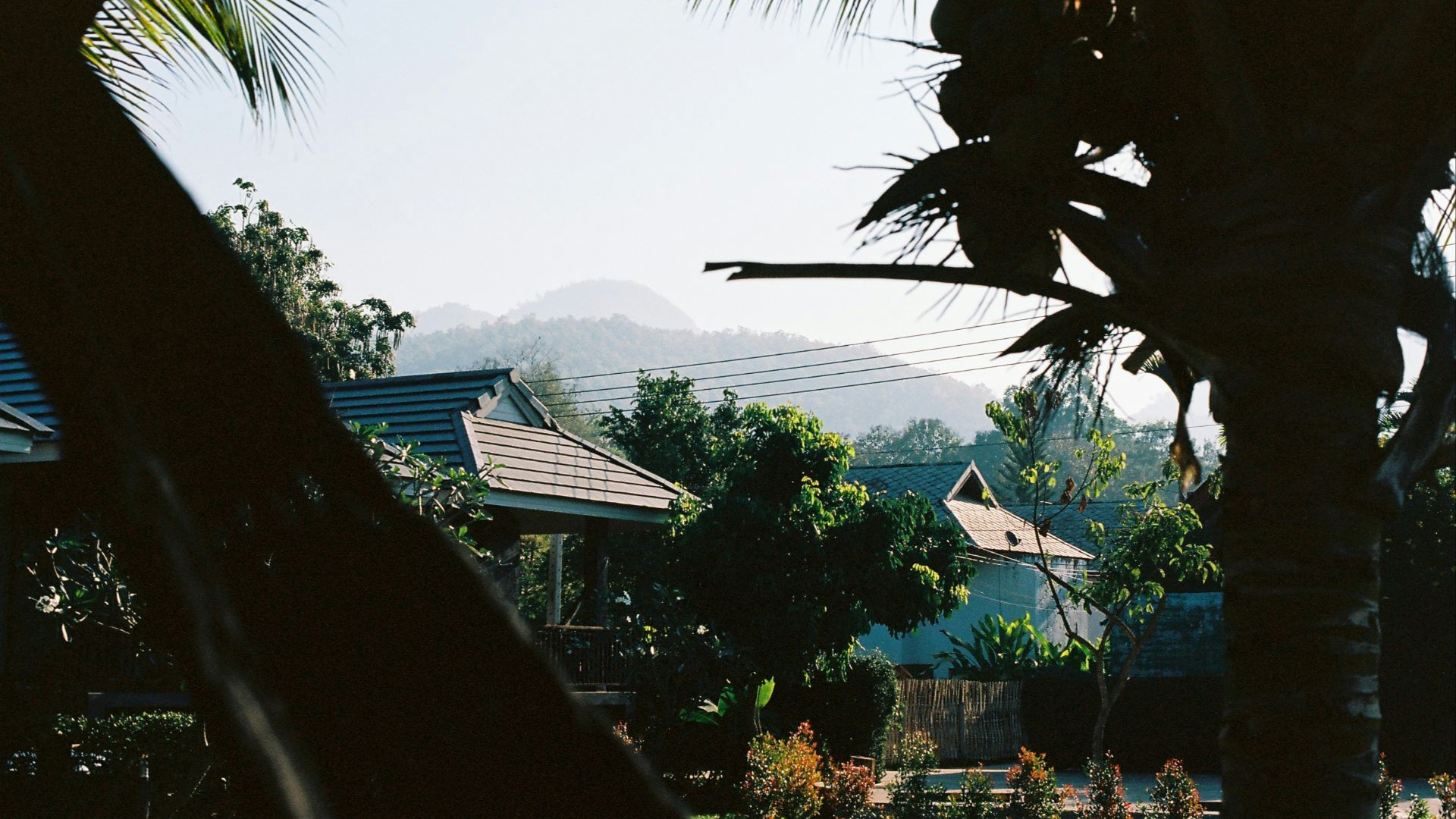 A palm tree in front of a house with mountains in the background