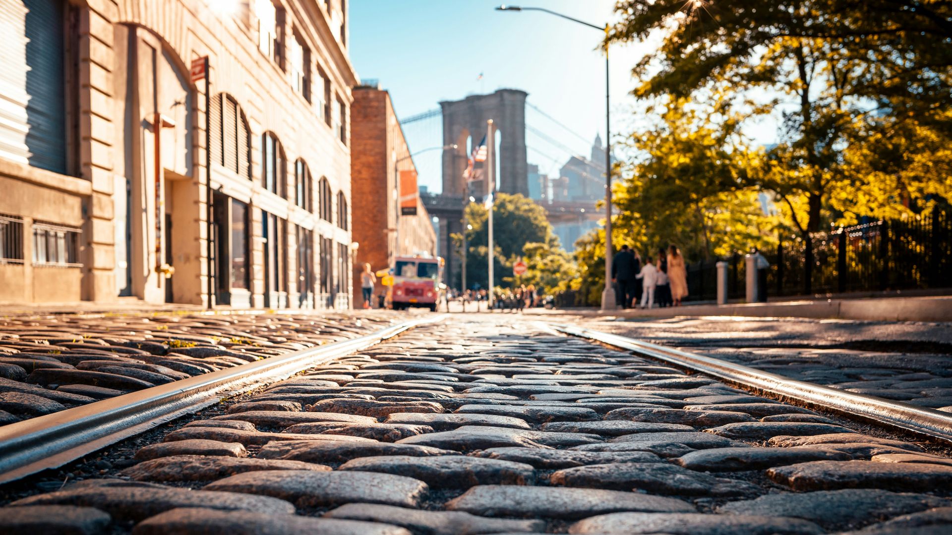 gray bricks road between tall trees and building