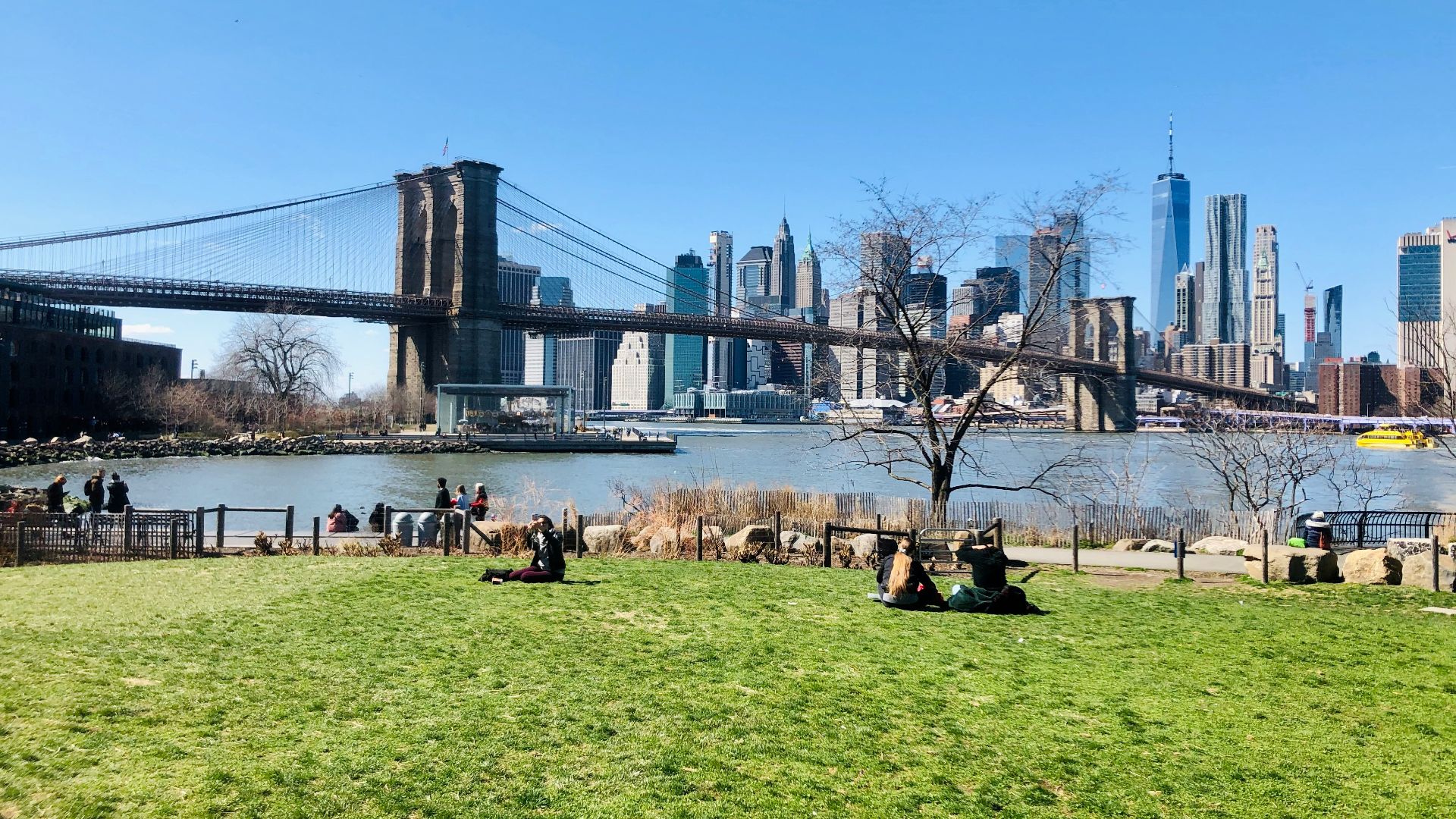 people sitting on grass field near bridge during daytime