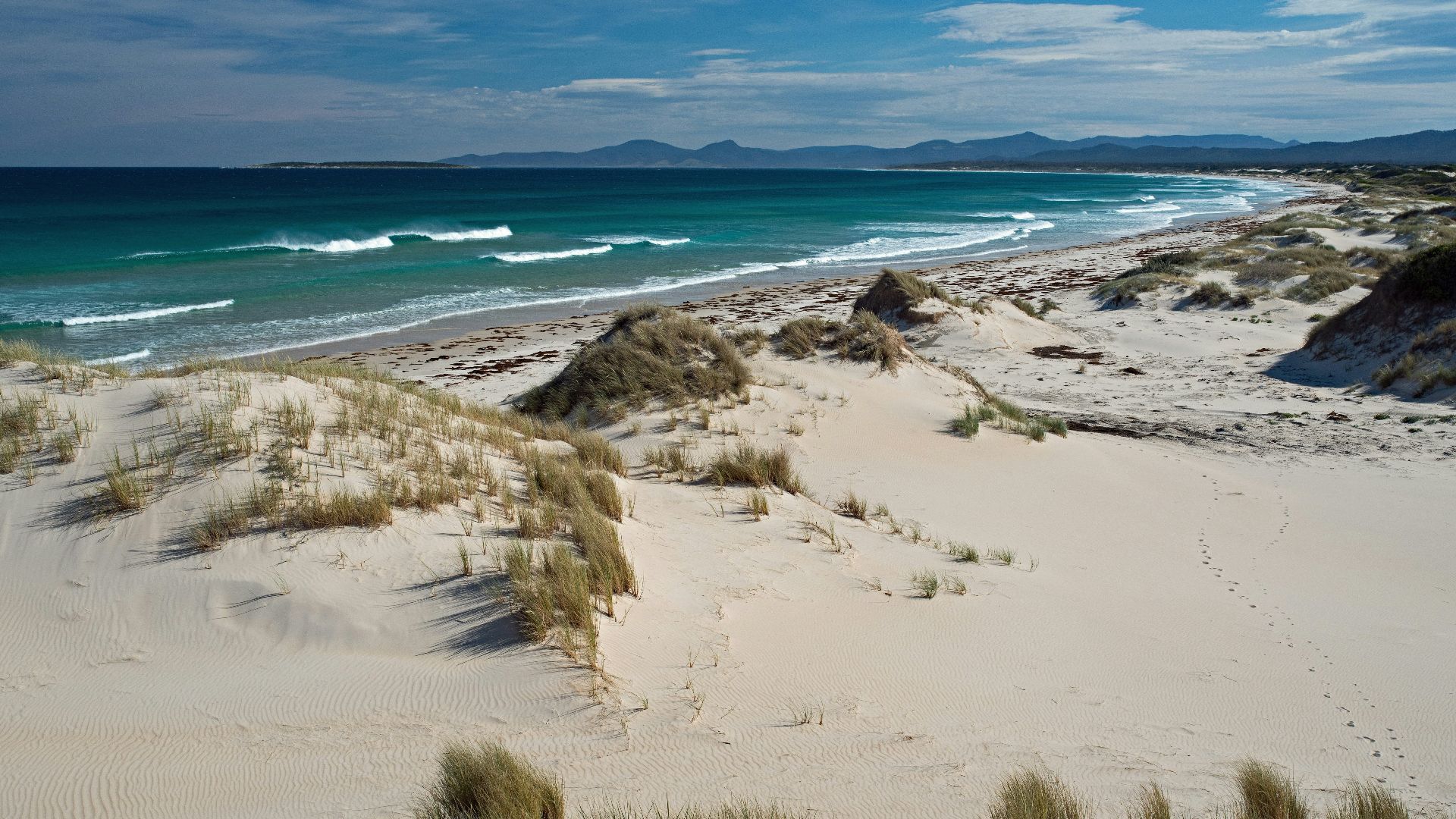 high-angle photography of beach under clear blue sky