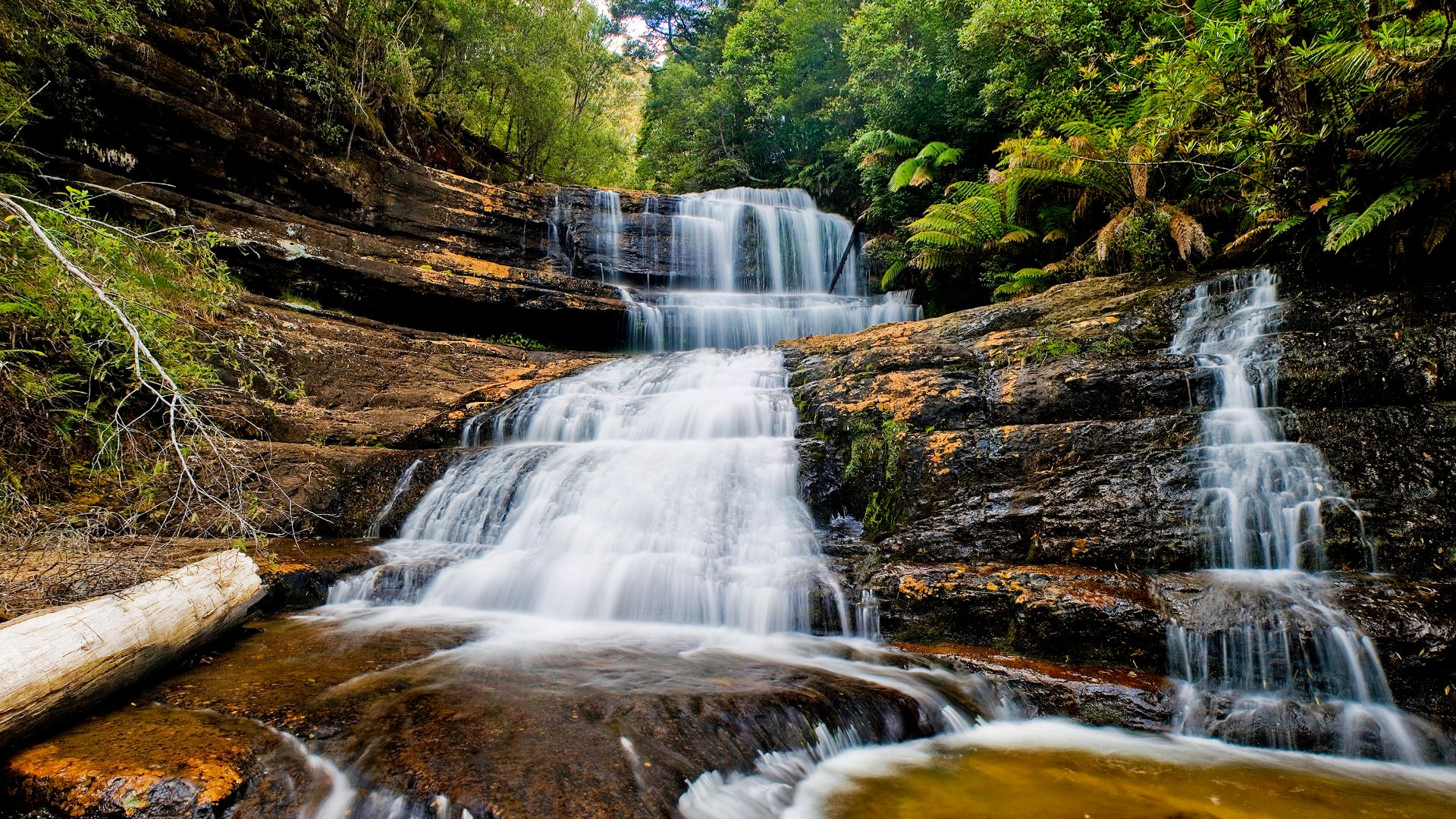 File:Lady Barron Falls Mt Field National Park.jpg